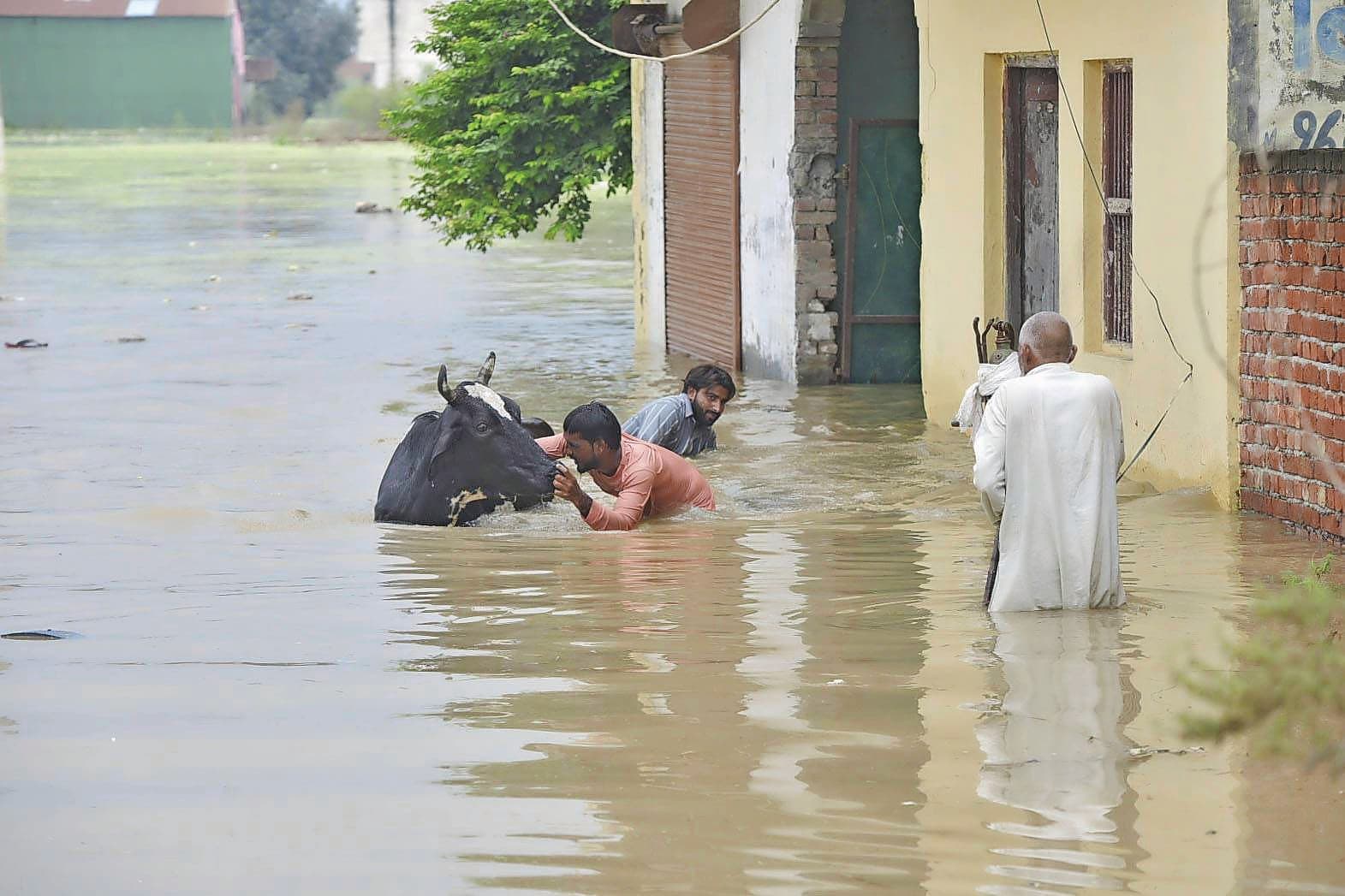 watersnoodramp India Pakistan