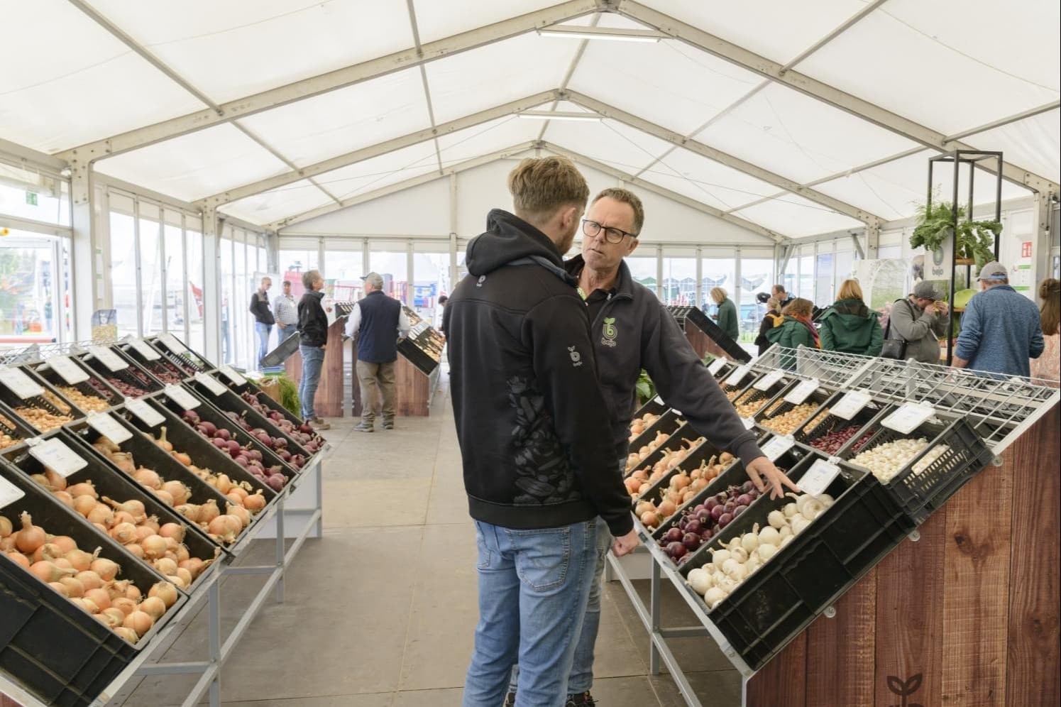 Uienassortiment van Bejo gepresenteerd tijdens de open dagen. Foto: Bejo