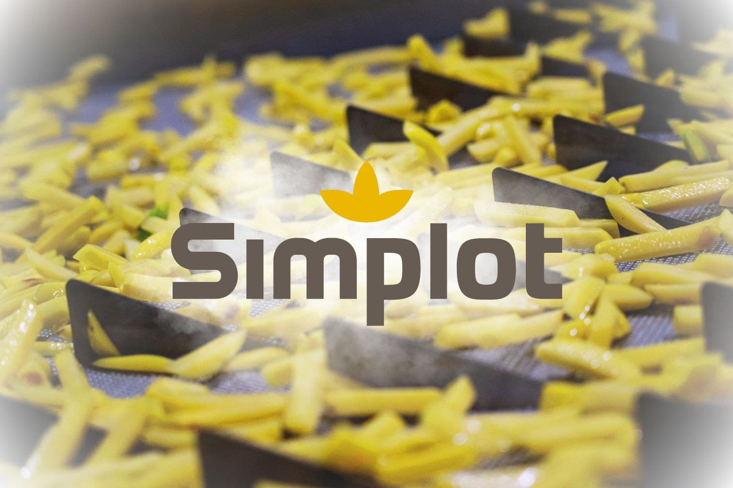 De Belgische fritesfabrikant Clarebout wordt overgenomen door het Amerikaanse Simplot. Samen vormen ze mogelijk de grootste speler wereldwijd. Foto: Jan Willem Schouten, Simplot, beeldbewerking