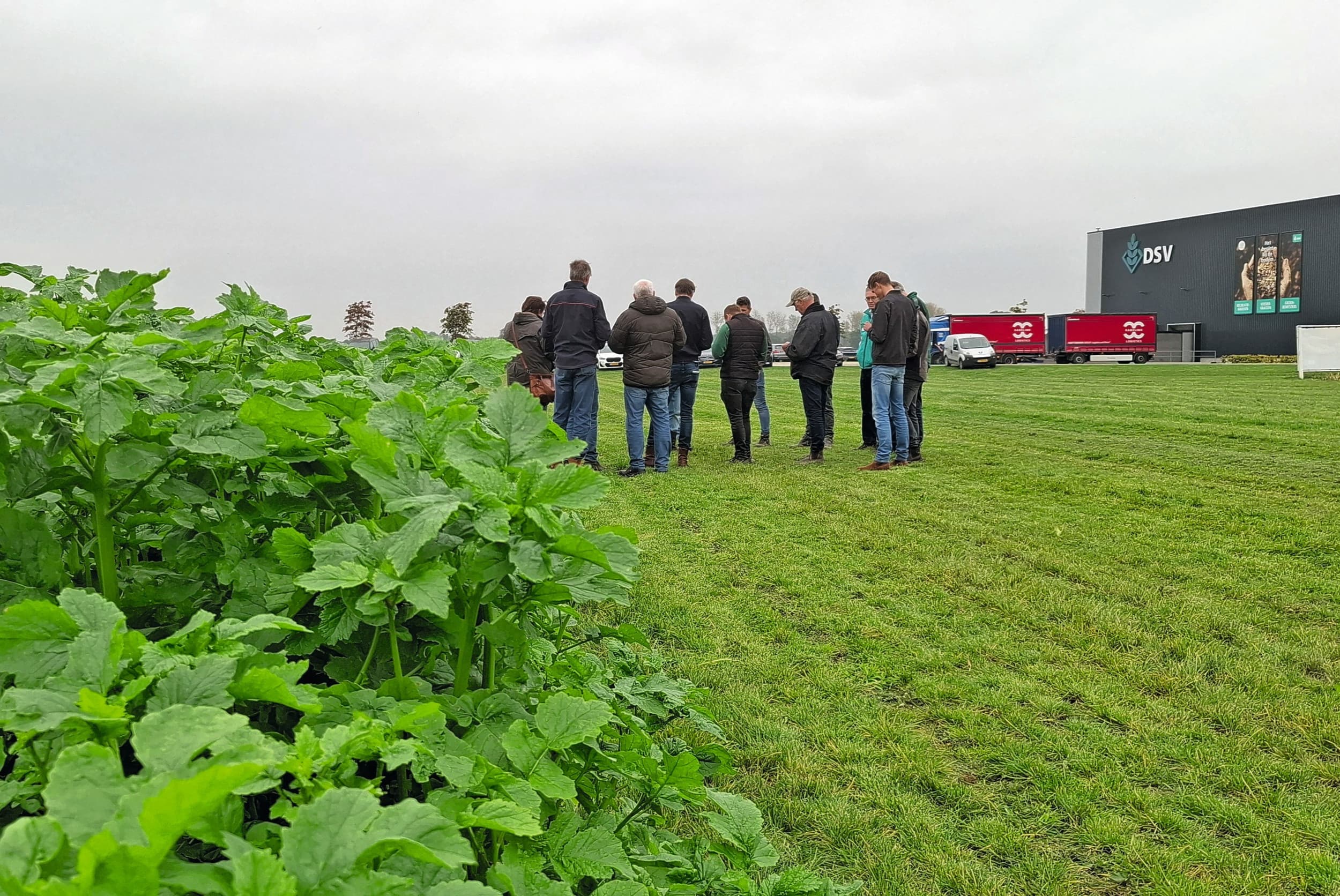 Groenbemesters stonden centraal op de Bodem Expertdag 2025. DSV zaden toonde mengsels als Proud Mary en TerraLife, die volgens de fabrikant bijdragen aan een beter bodemleven, betere stikstofbinding en meer organische stof. Foto: Tonnis van der Veen