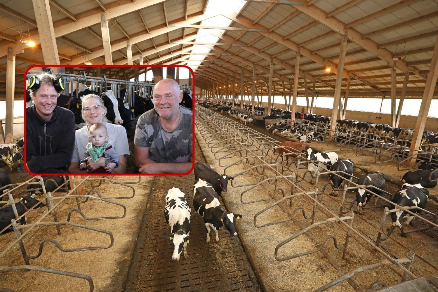 De Zweedse melkveehouder Dag Arvidsson beleeft een topjaar. Zijn bedrijf groeit sterk in omvang én resultaat, met een winst die richting €1 miljoen gaat. Foto’s: Henk Riswick