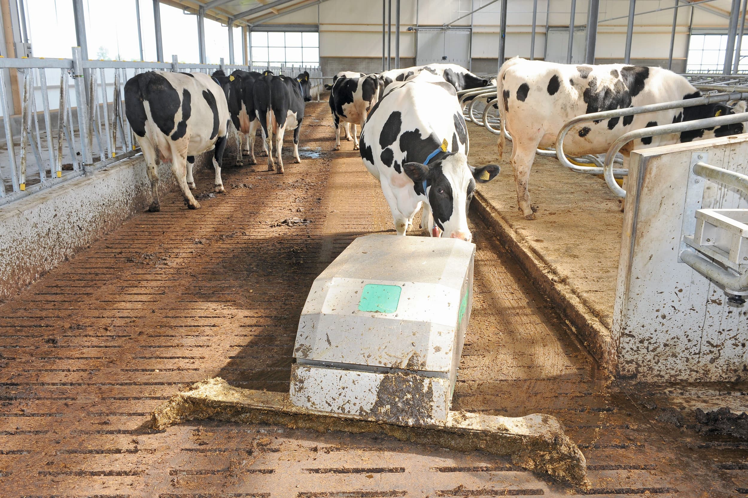 mestplan sanering veehouderij