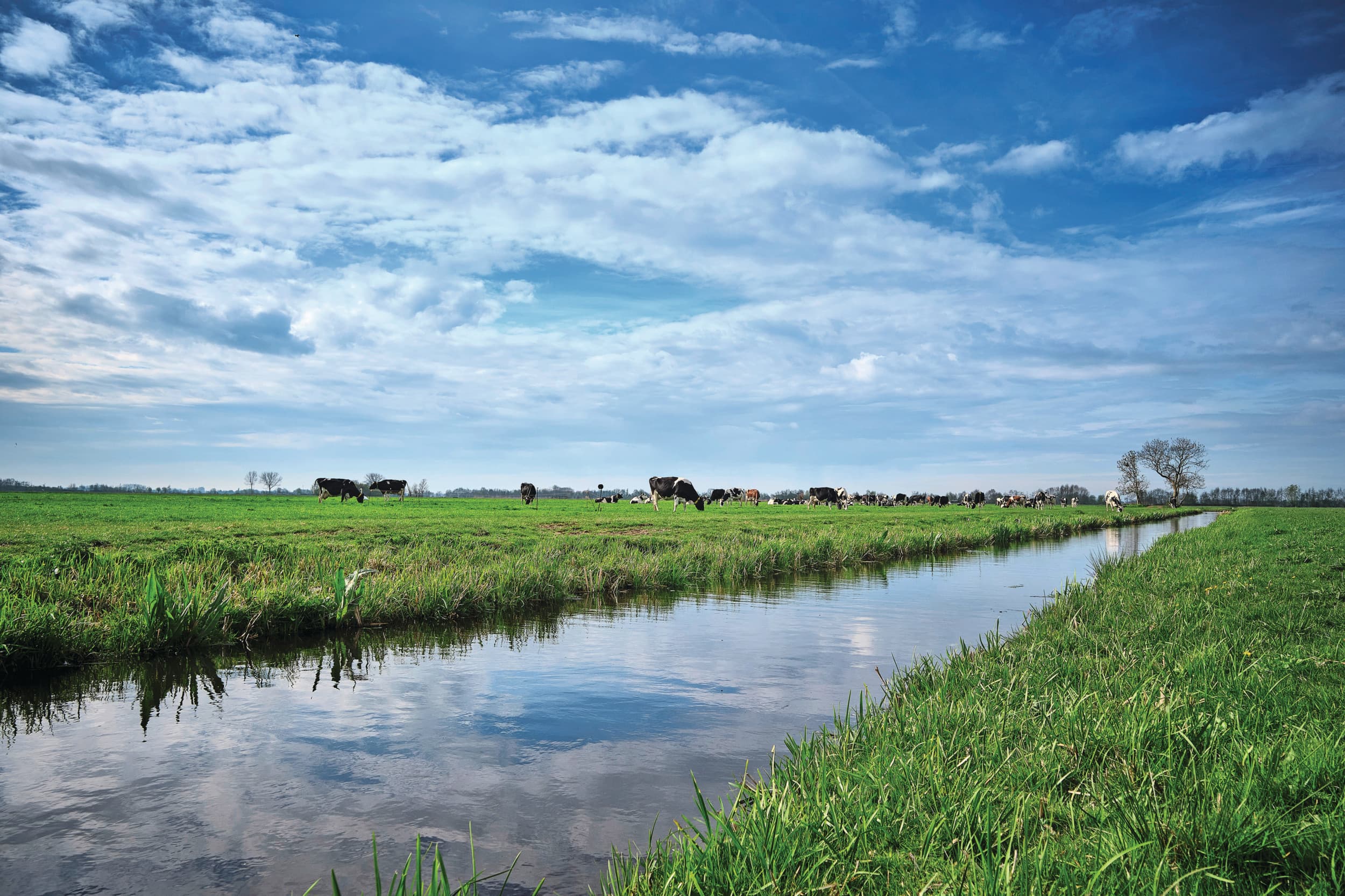 Het demissionaire kabinet steekt volgend jaar bijna 300 miljoen in een betere waterkwaliteit. Foto: Fred Libochant Fotografie