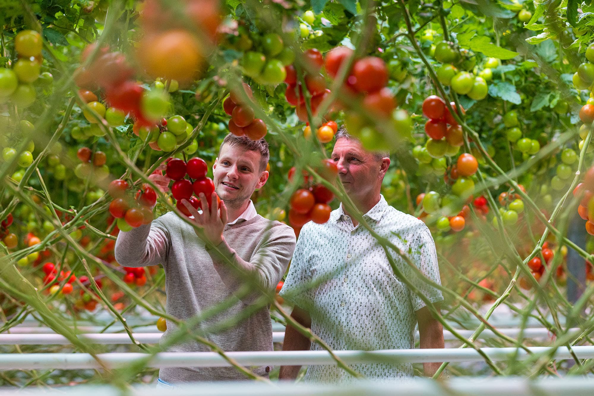 Joris Buijs (commercieel directeur Noordhuys, links op foto) en Leon Duijvestijn (Lead telerrelatiemanager vruchtgroente The Greenery). Foto’s: The Greenery