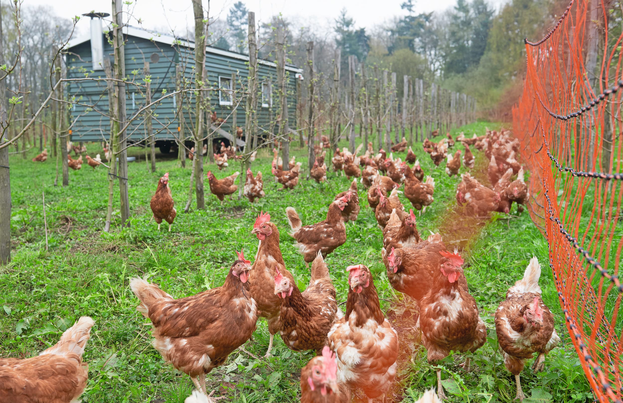 De oudste Herenboerderij in Nederland in het Brabantse Boxtel. Foto: Van Assendelft Fotografie