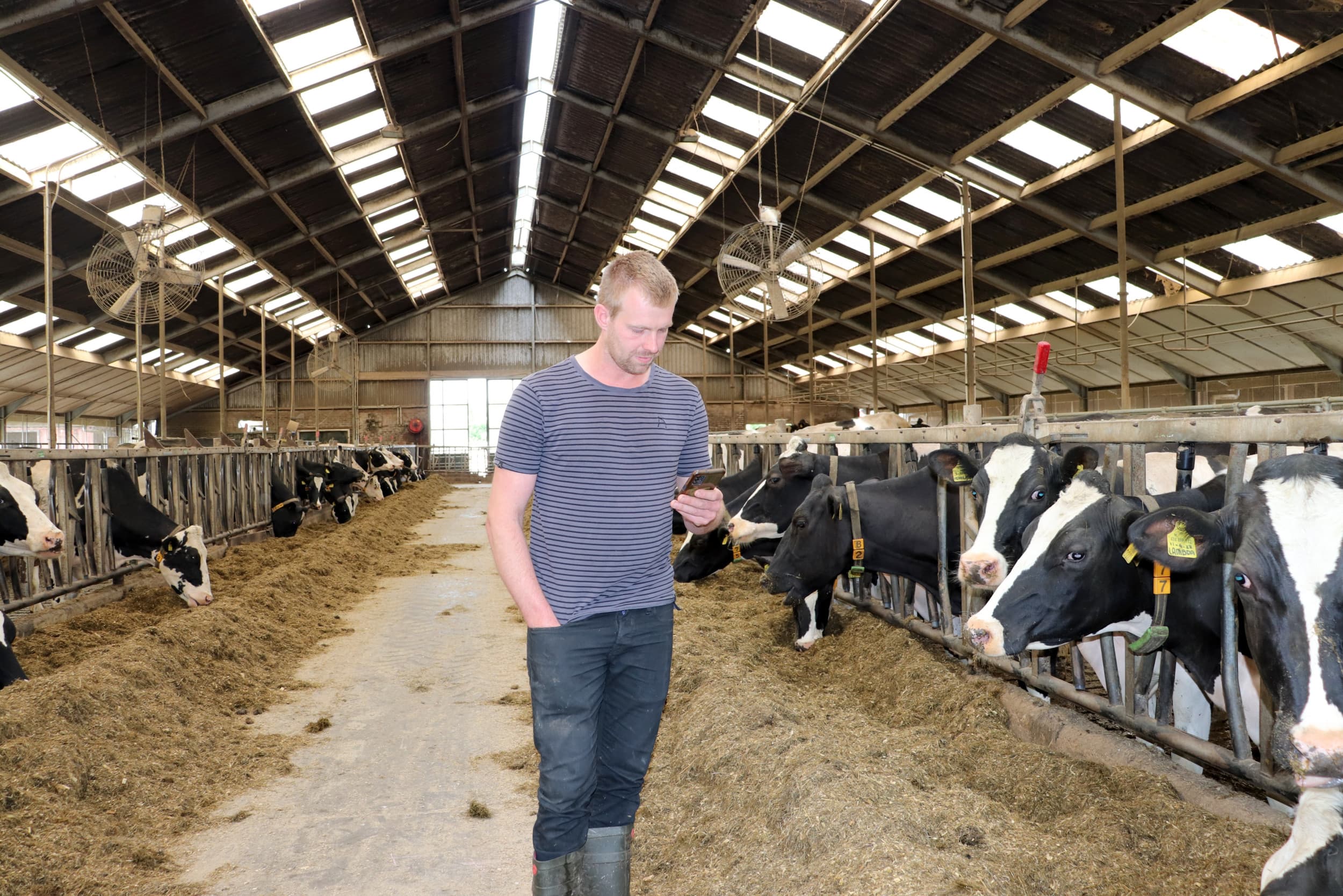 Marko Tanis, melkveehouder in Goedereede, werkt sinds juli vorig jaar met de slimme bolus van SmaXtec. Foto’s: SmaXtec