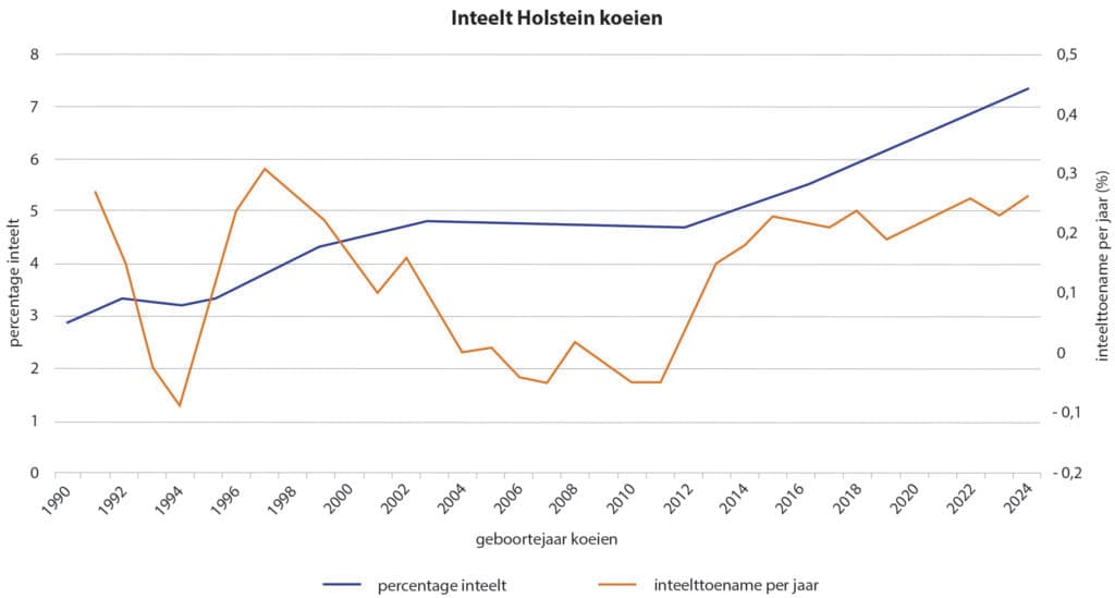 KI-organisaties fokken zuivere rassen. Ze zijn steeds op zoek naar nog hogere index stieren. De toename van inteelt geeft koeien die steeds meer een inteeltproduct zijn. De gezondheid van de koeien neemt af. Er zijn steeds meer ondersteunende zaken nodig om haar te laten produceren.