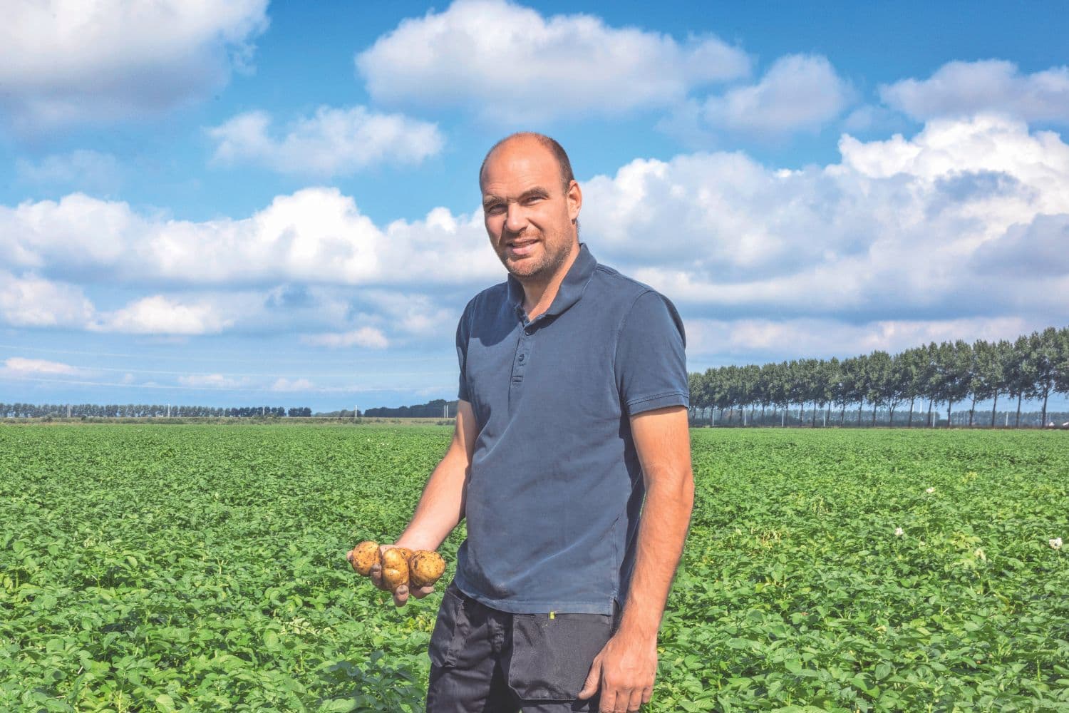 Jasper Roubos (POC): ‘Verklein areaal aardappelen om markt in balans te brengen’
