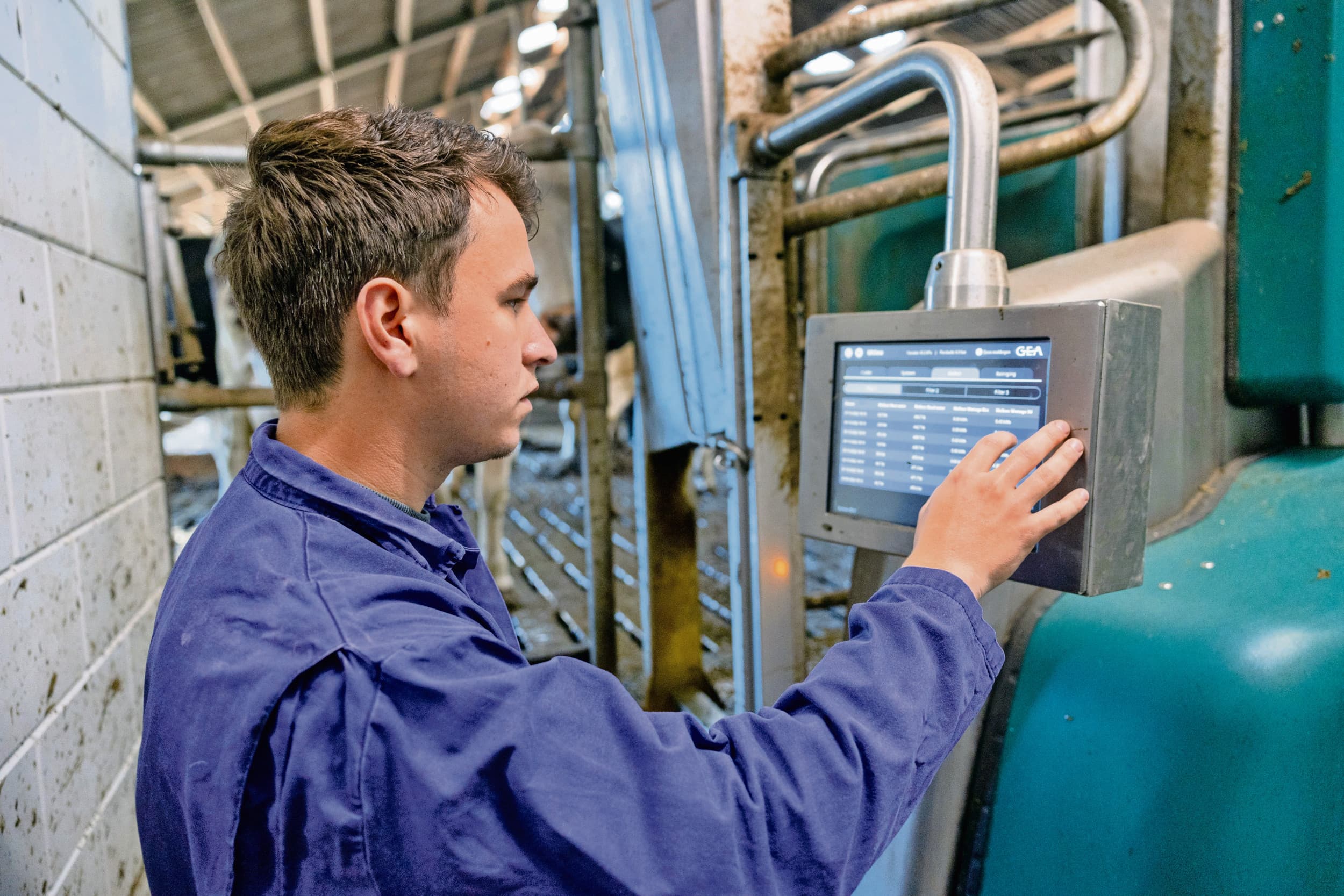 De subsidie is voor projecten met als doel het aantrekken en behouden van jonge landbouwers (generatievernieuwing). Als de aanvraag wordt goedgekeurd, hoort het project bij het netwerk Europees Innovatie Partnerschap (EIP). Foto: Herbert Wiggerman