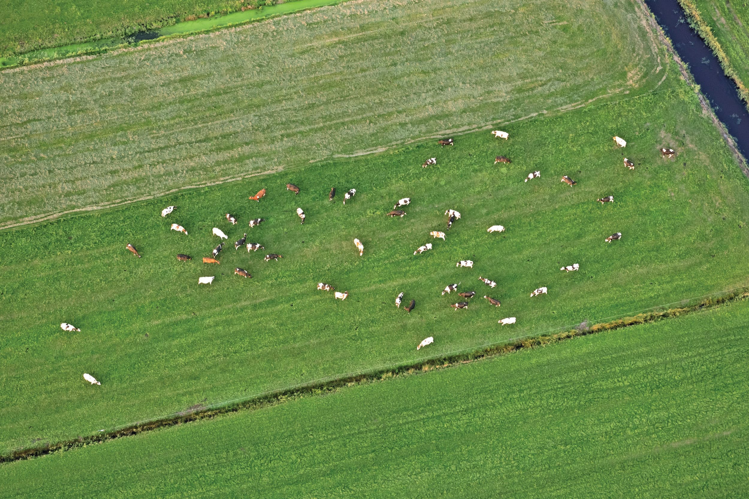 rabobank landbouw transitiefonds