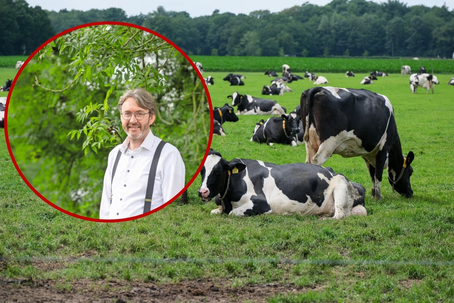 interview Gerard Migchels WUR stikstofreductie