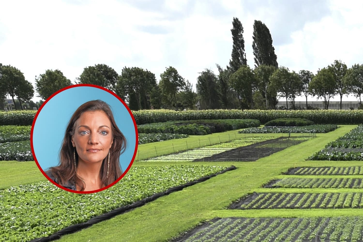 verkiezingsinterview Beckerman SP