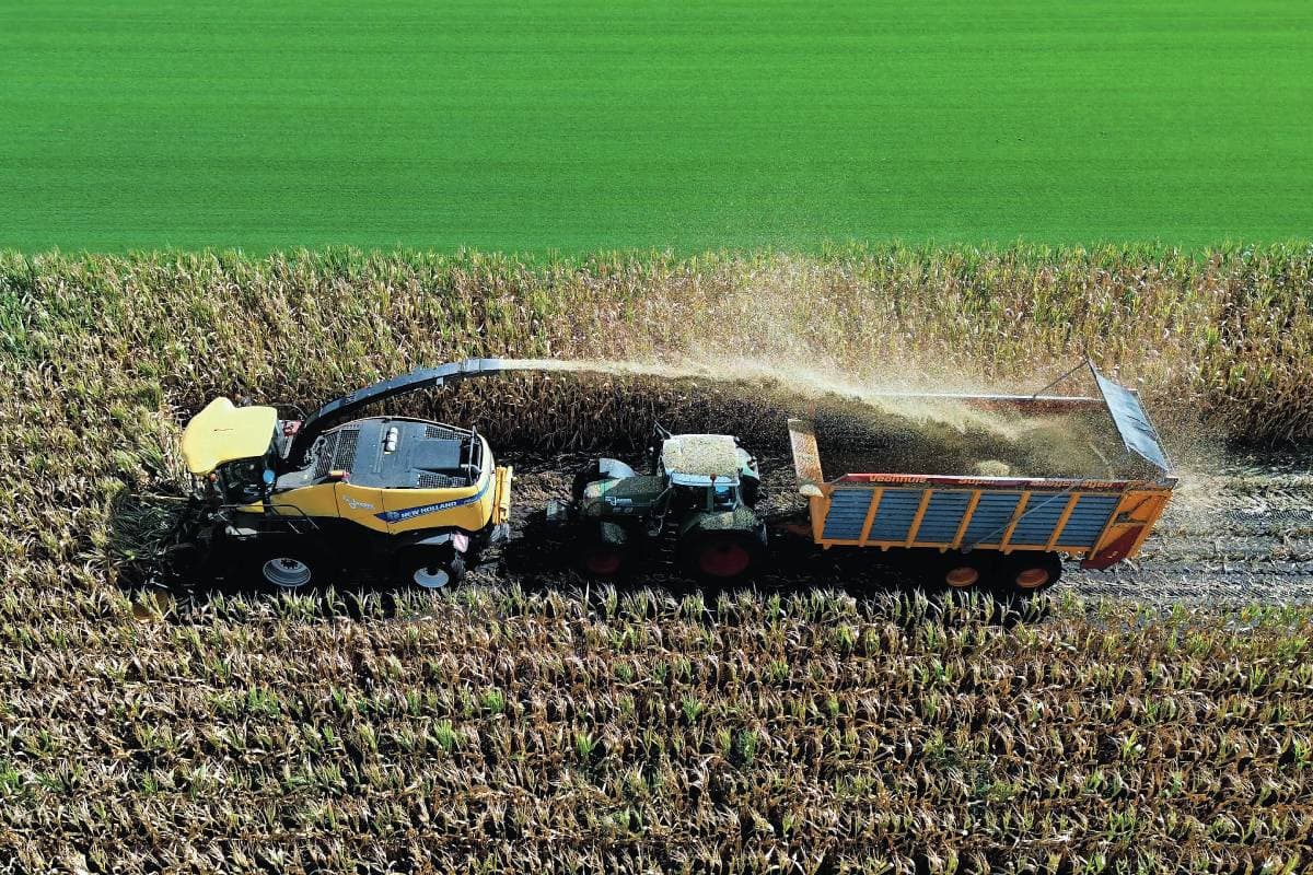 De snijmais kwam wisselend van het land. Foto AV-team