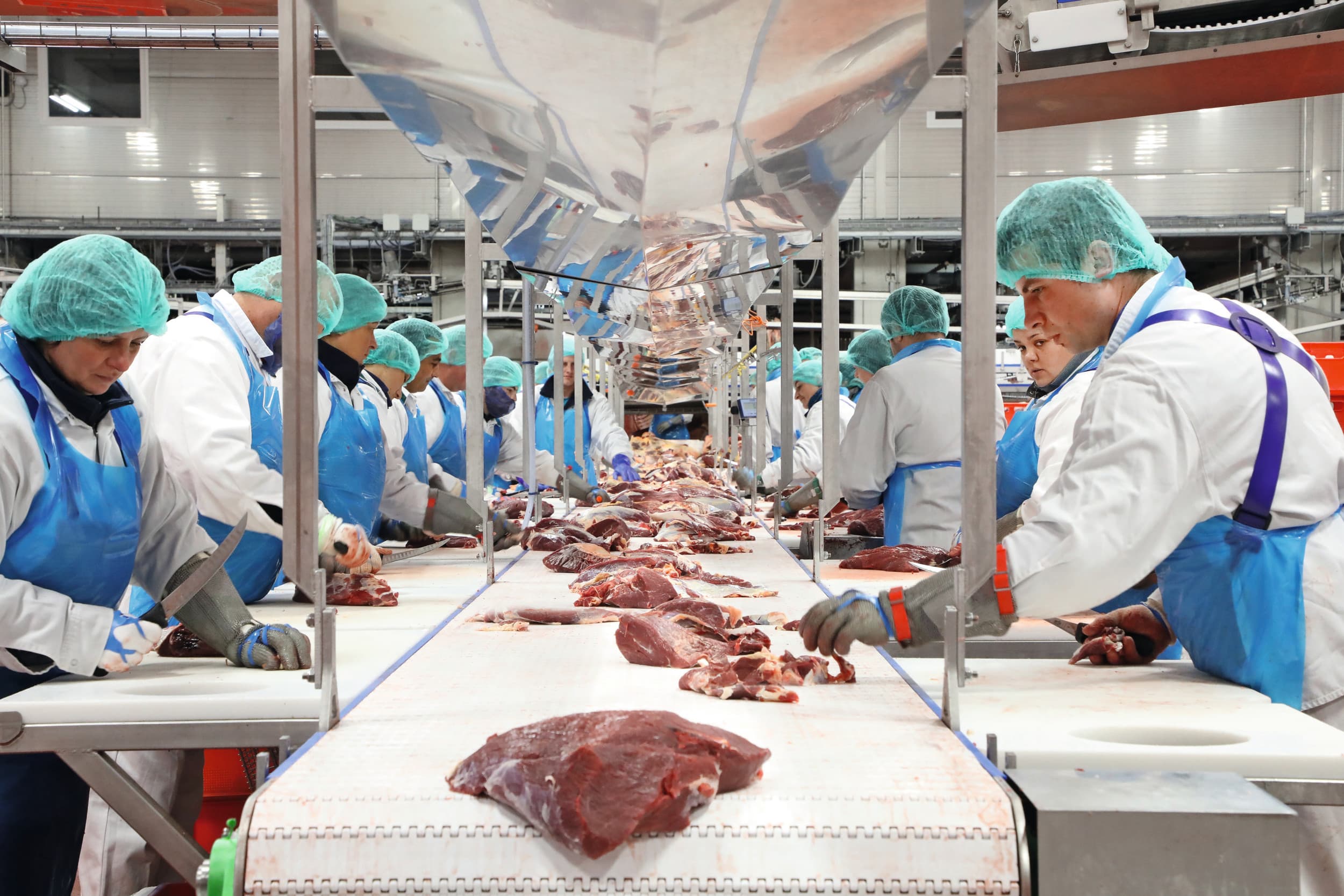 Verwerking van rundvlees bij Duitse slachterij. Door de krimpende markt is de import uit andere landen toegenomen. Foto: Westfleisch