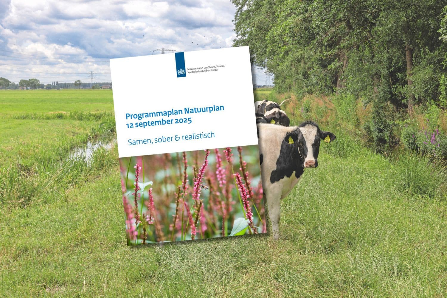 Agrarische natuurcollectieven worden betrokken bij het Natuurplan van staatssecretaris Rummenie. Foto: Peter Roek, afbeelding ministerie LVVN, beeldbewerking