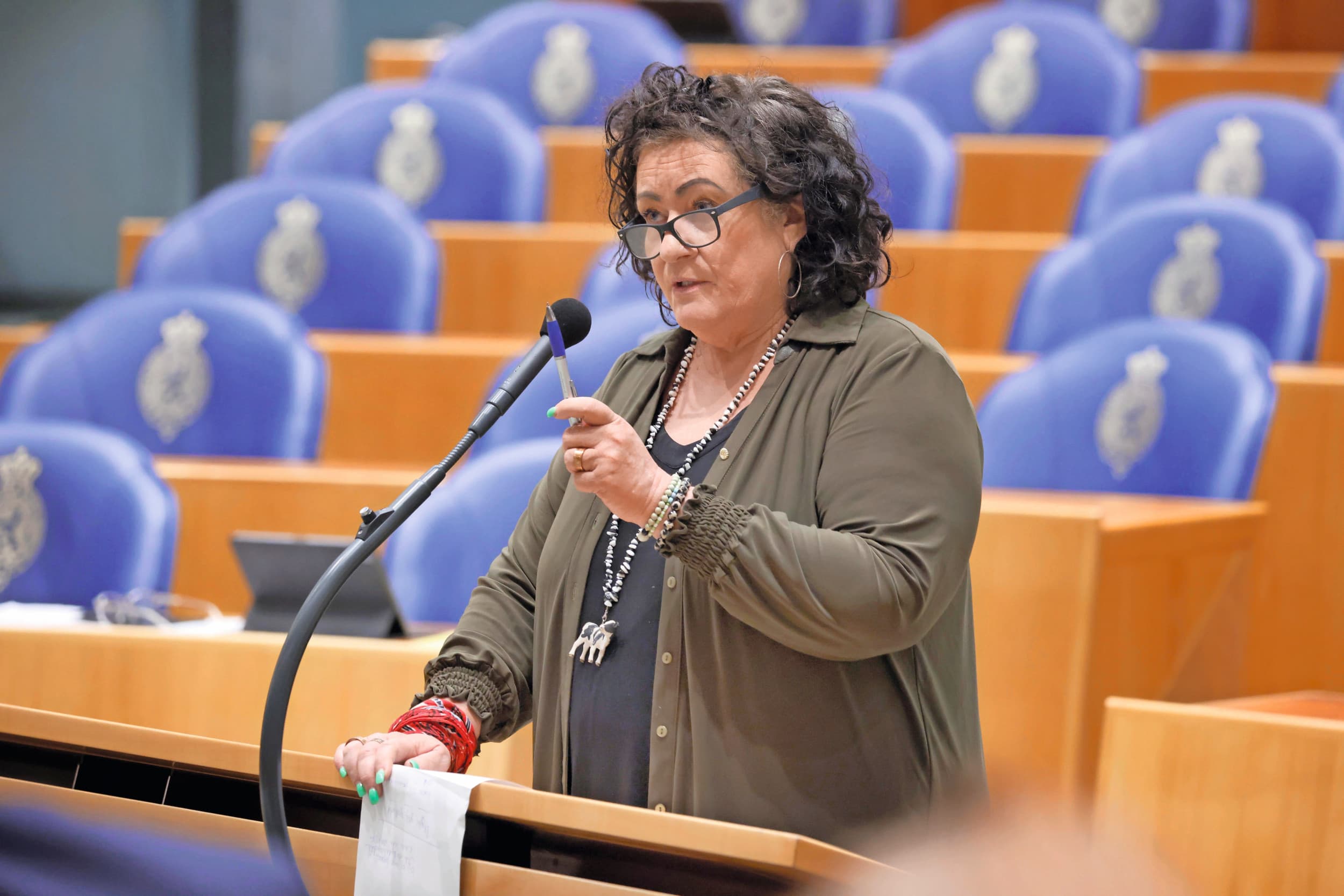 stikstof budget demissionair kabinet