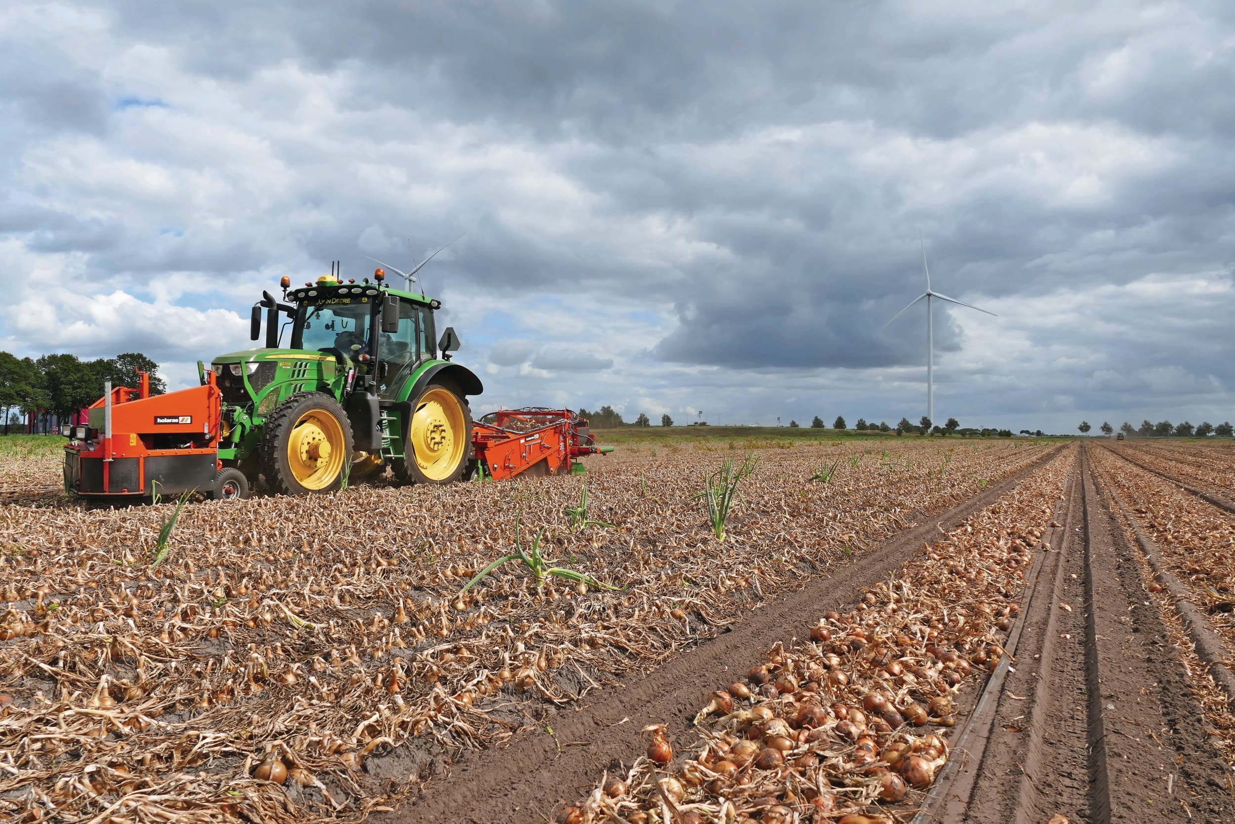 Uien rooien nabij Veendam, 23 augustus. Ander weer zit in de lucht, maar een week later gingen ook in het noorden van het land veel uien onder mooie omstandigheden naar binnen. De eerste week van september waren de meeste uien van het land. Foto: Martin Smits