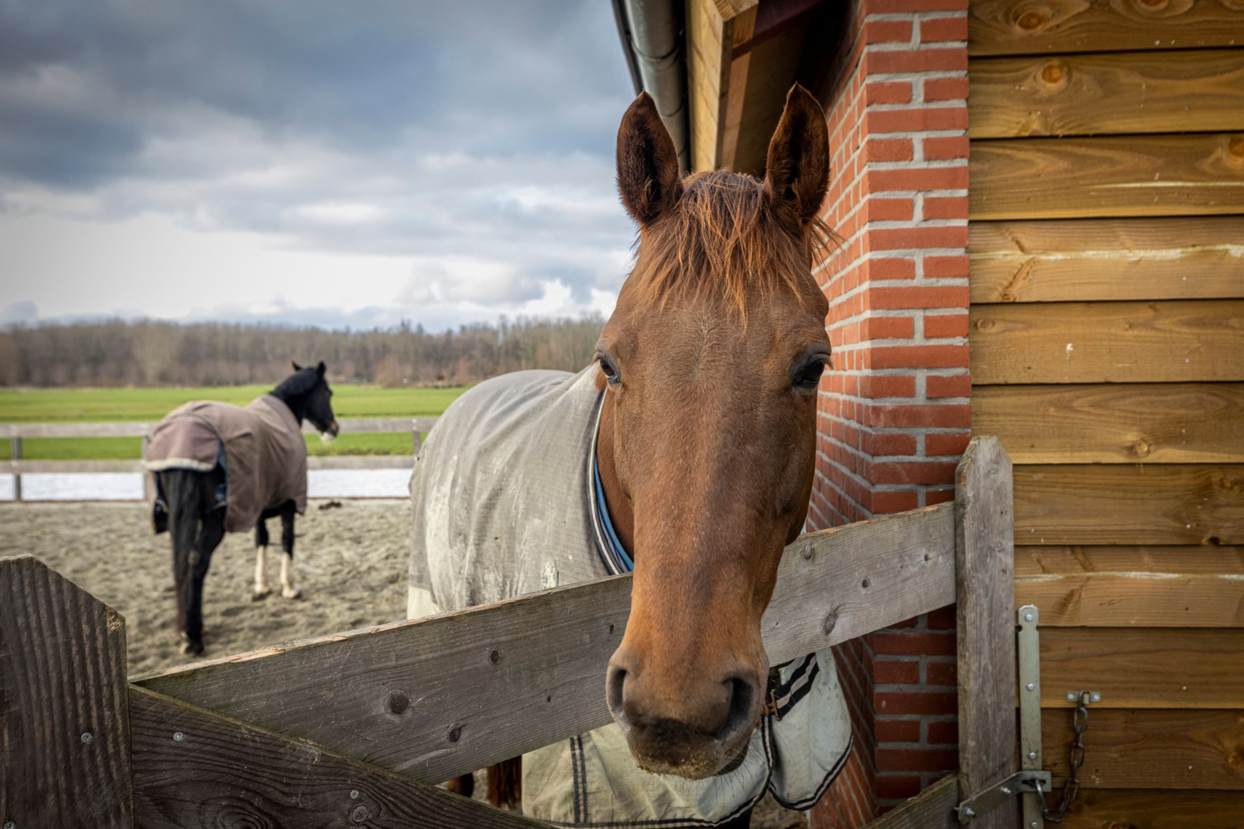 Foto ter illustratie. Foto: Koos Groenewold