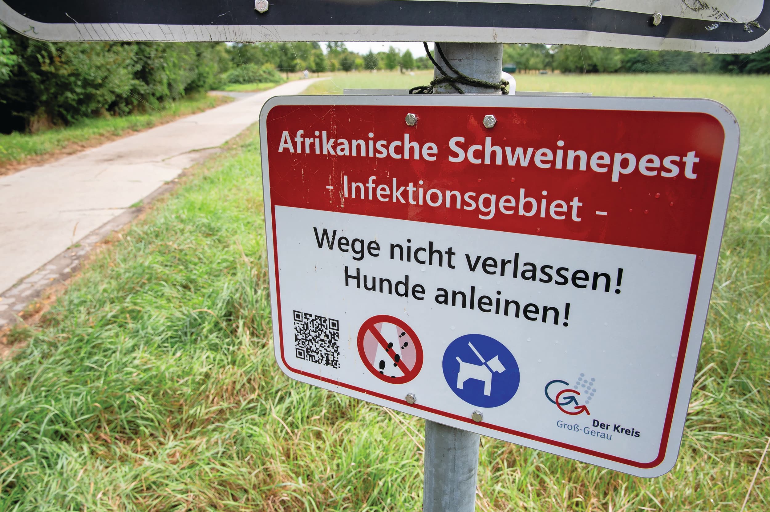 De Duitse deelstaat Noordrijn-Westfalen heeft een nieuwe bufferzone ingesteld vanwege Afrikaanse varkenspest (AVP). In de nieuwe zone moeten bezoekers zich aan bepaalde regels houden om verdere verspreiding van AVP tegen te gaan. Foto: Twan Wiermans