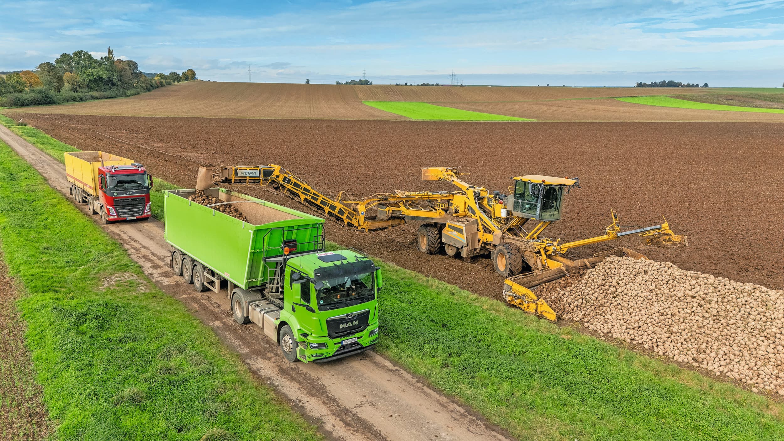 Het laden van suikerbieten voor Südzucker. Foto: Dennis Möbus/Südzucker