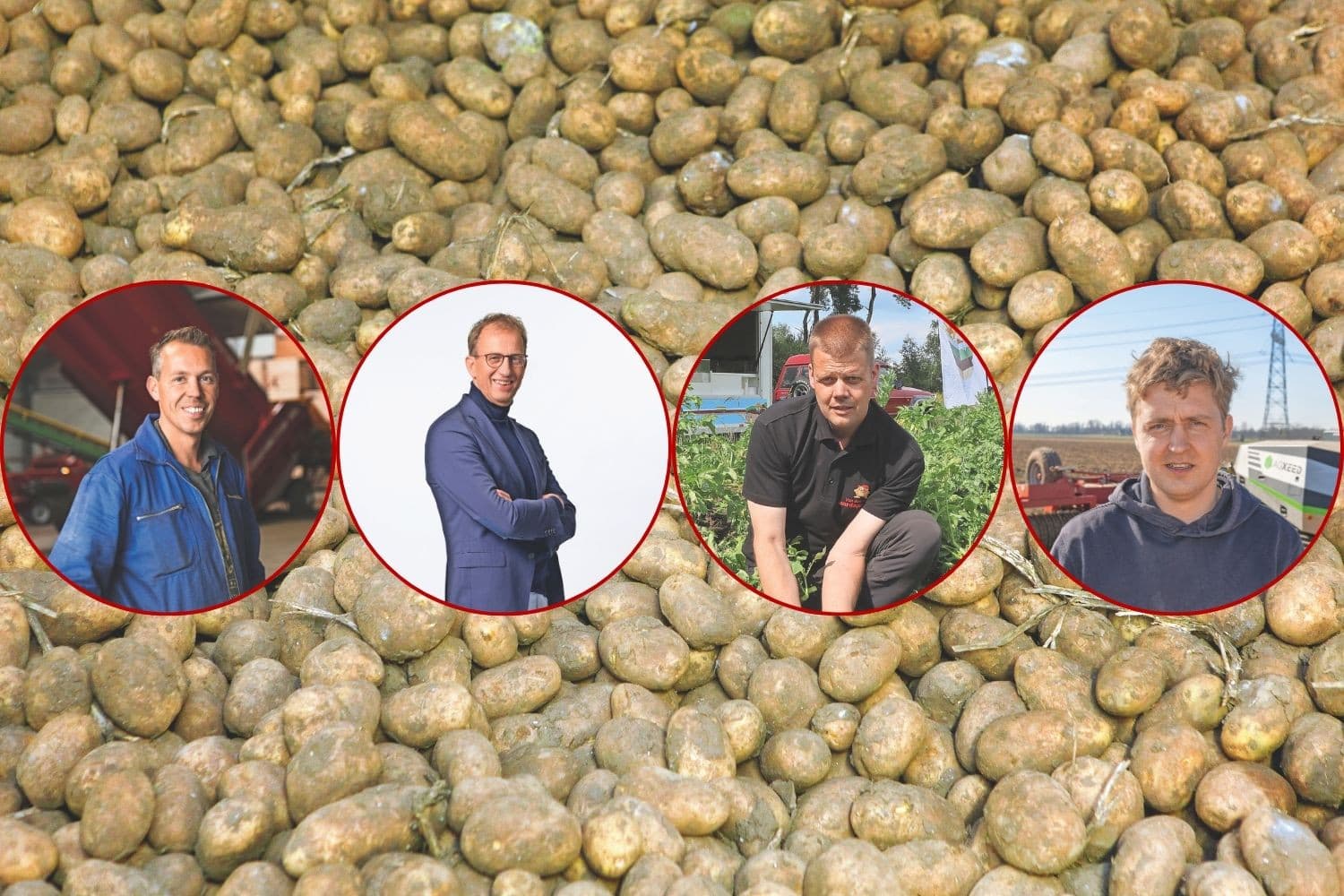 Bert-Jan Klaassen, Dick Zelhorst, Jacob van den Borne en Marijn Vermuë (v.l.n.r.) vertellen over hun ervaringen en perspectieven in de fritesaardappelsector. Foto’s: Henk Riswick, Peter Roek, Bert Jansen, Michel Velderman, Aviko, beeldbewerking