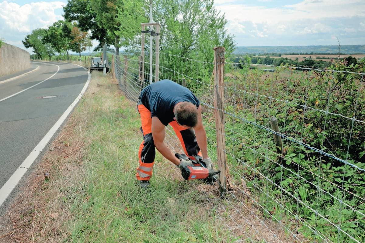 De bouw van een vaste afrastering in de deelstaat Hessen om de migratie van wilde zwijnen te beperken. In Hessen is in een jaar tijd 280 kilometer afrastering gebouwd. Foto: HMLU