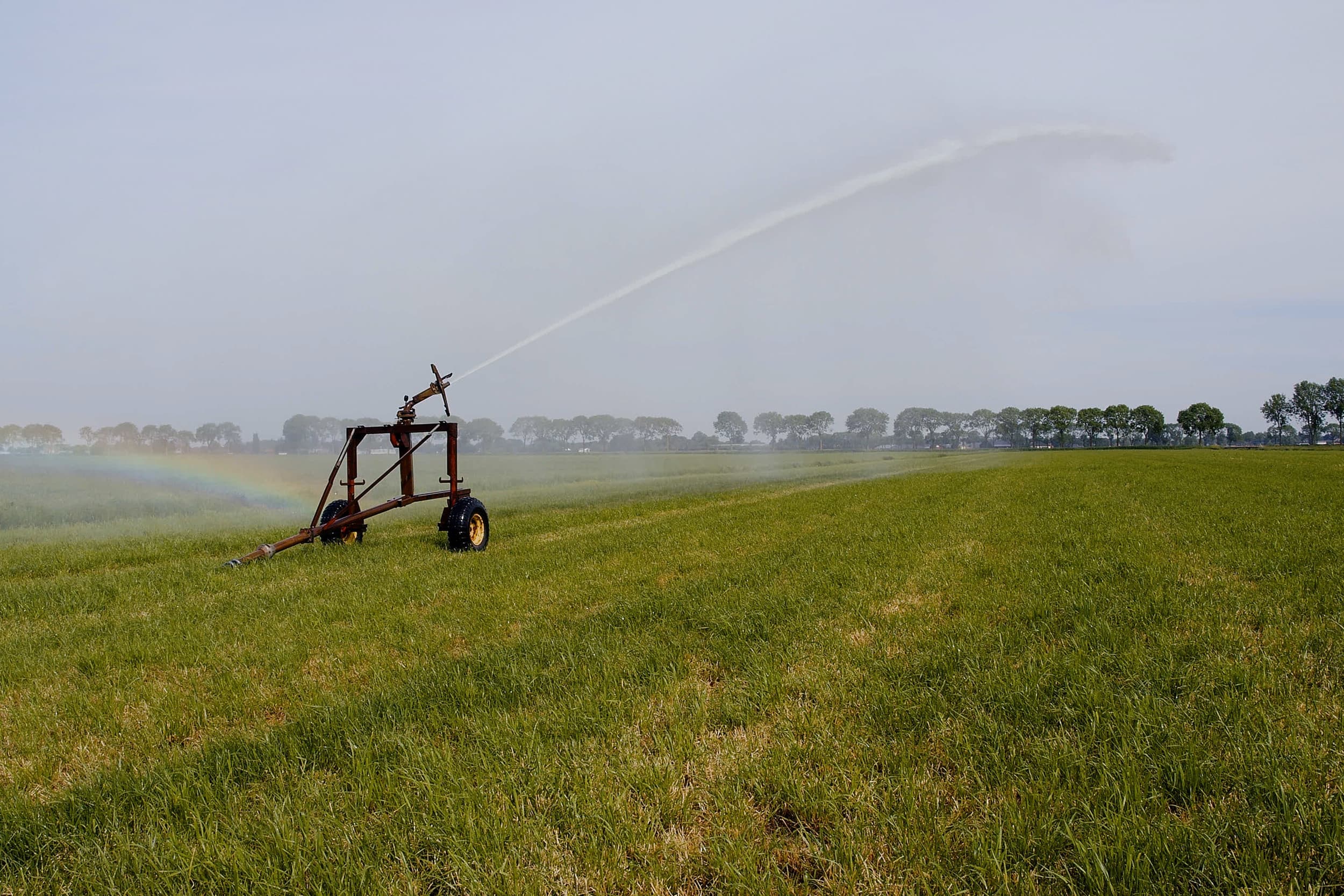 Waterschappen Rivierenland en Rijn en IJssel stellen onttrekkingsverboden in vanwege droogte. Foto: Misset