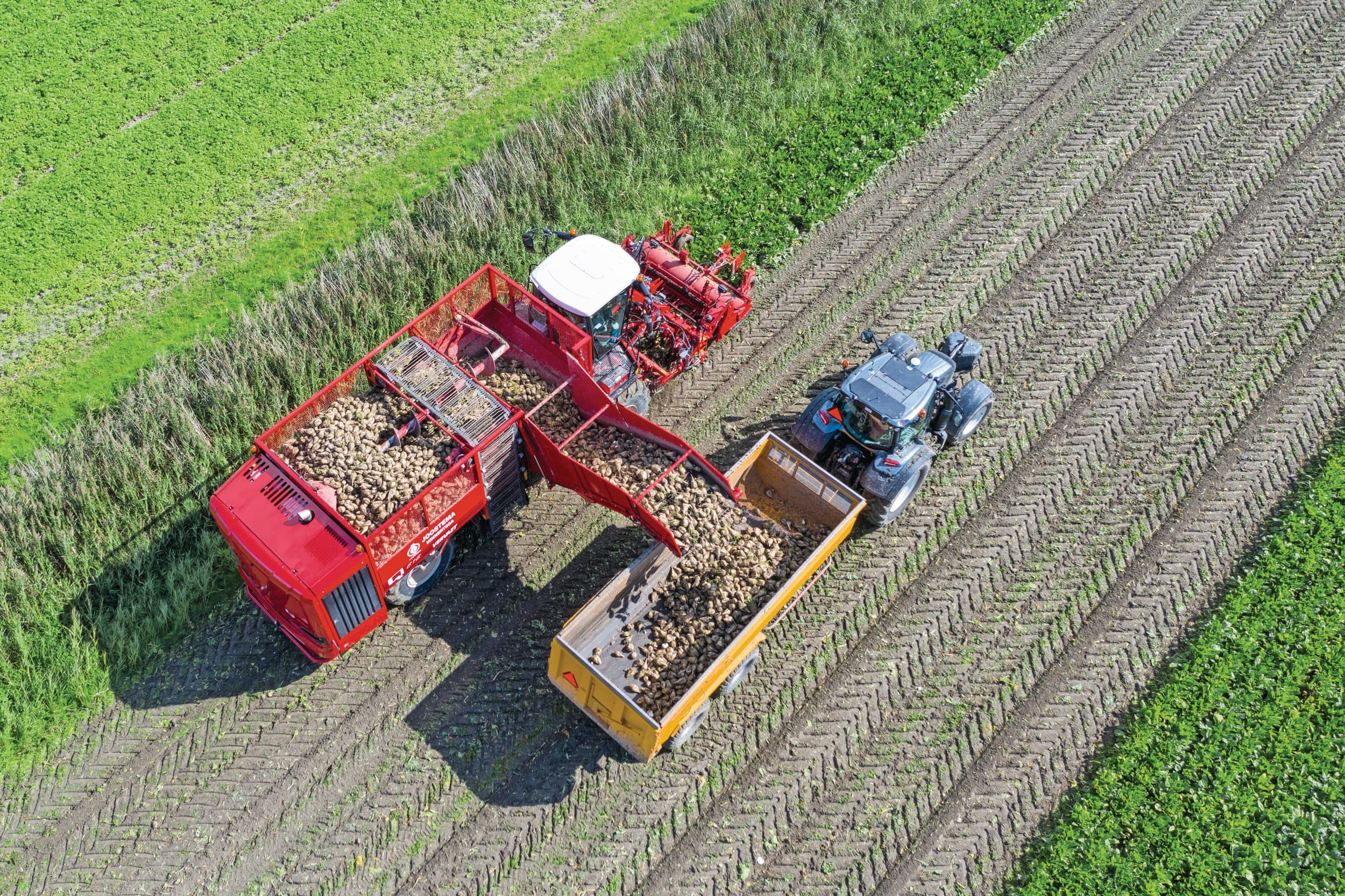 voedselproductie Europese Unie