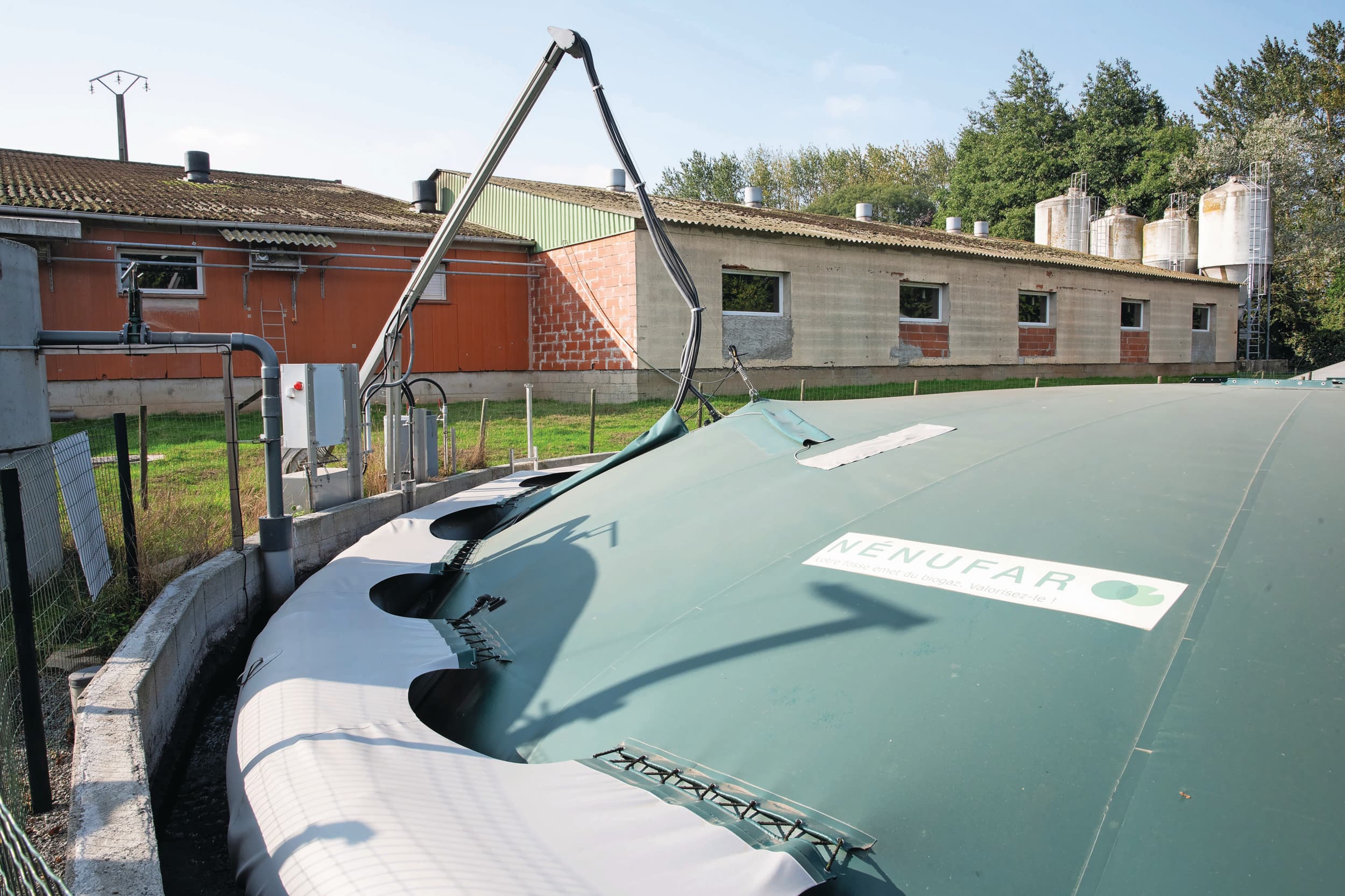 CBS verbruik biogas Nederland