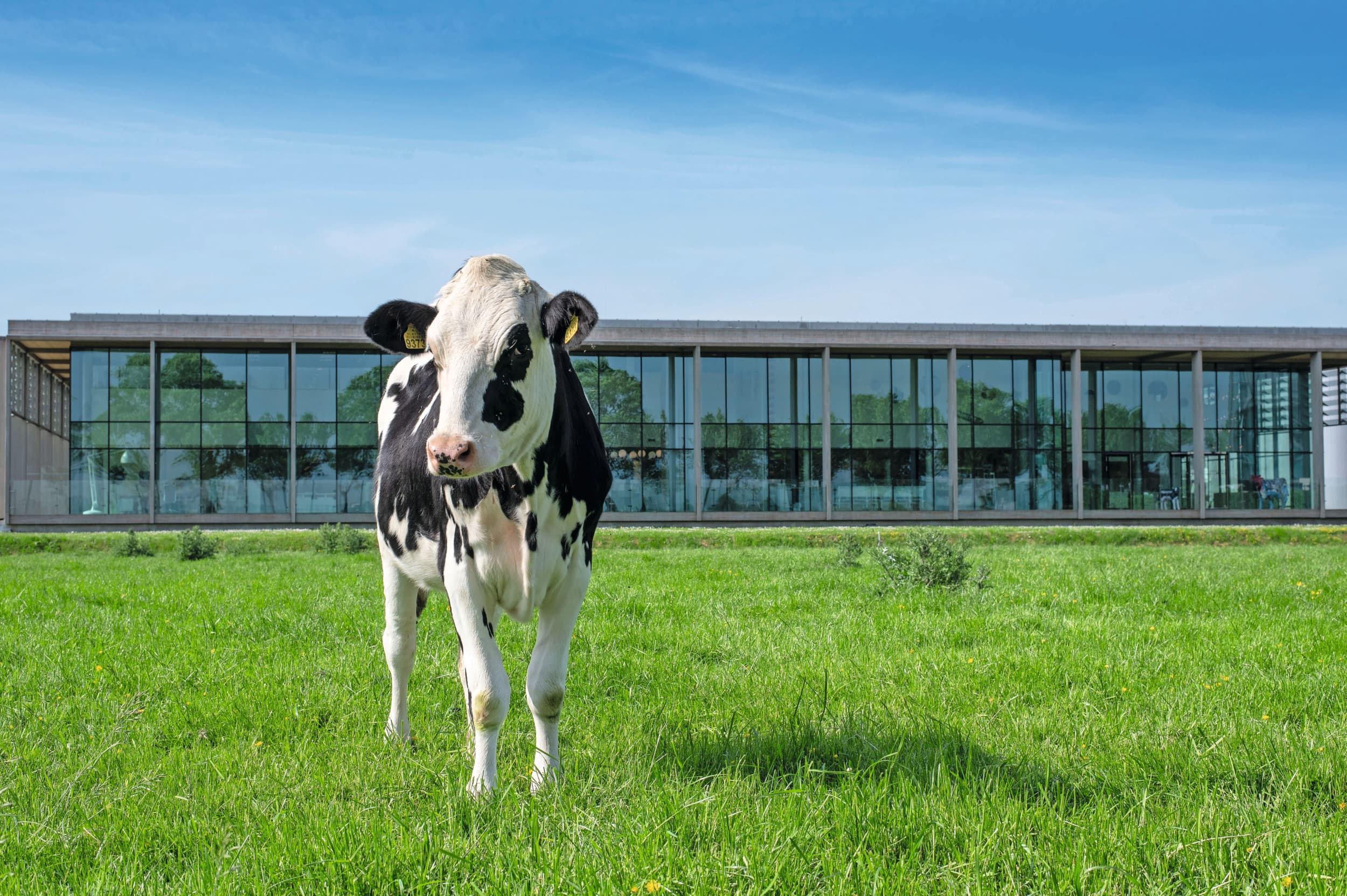 De fabriek van Cono in Westbeemster. Foto: Cono