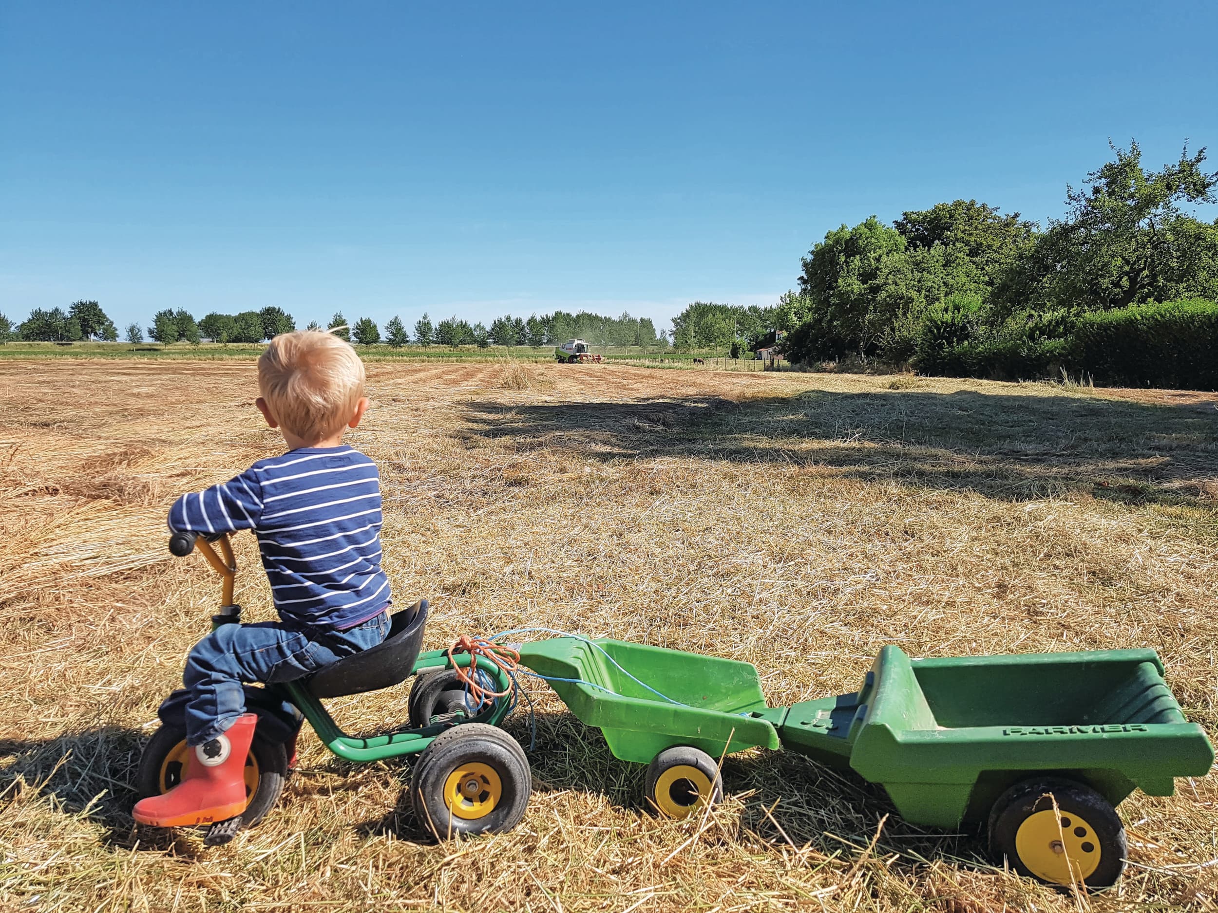 Blijversrecht is bedoeld om het bedrijf bij opvolging in één hand te houden en niet op te splitsen. Foto: Boerderij