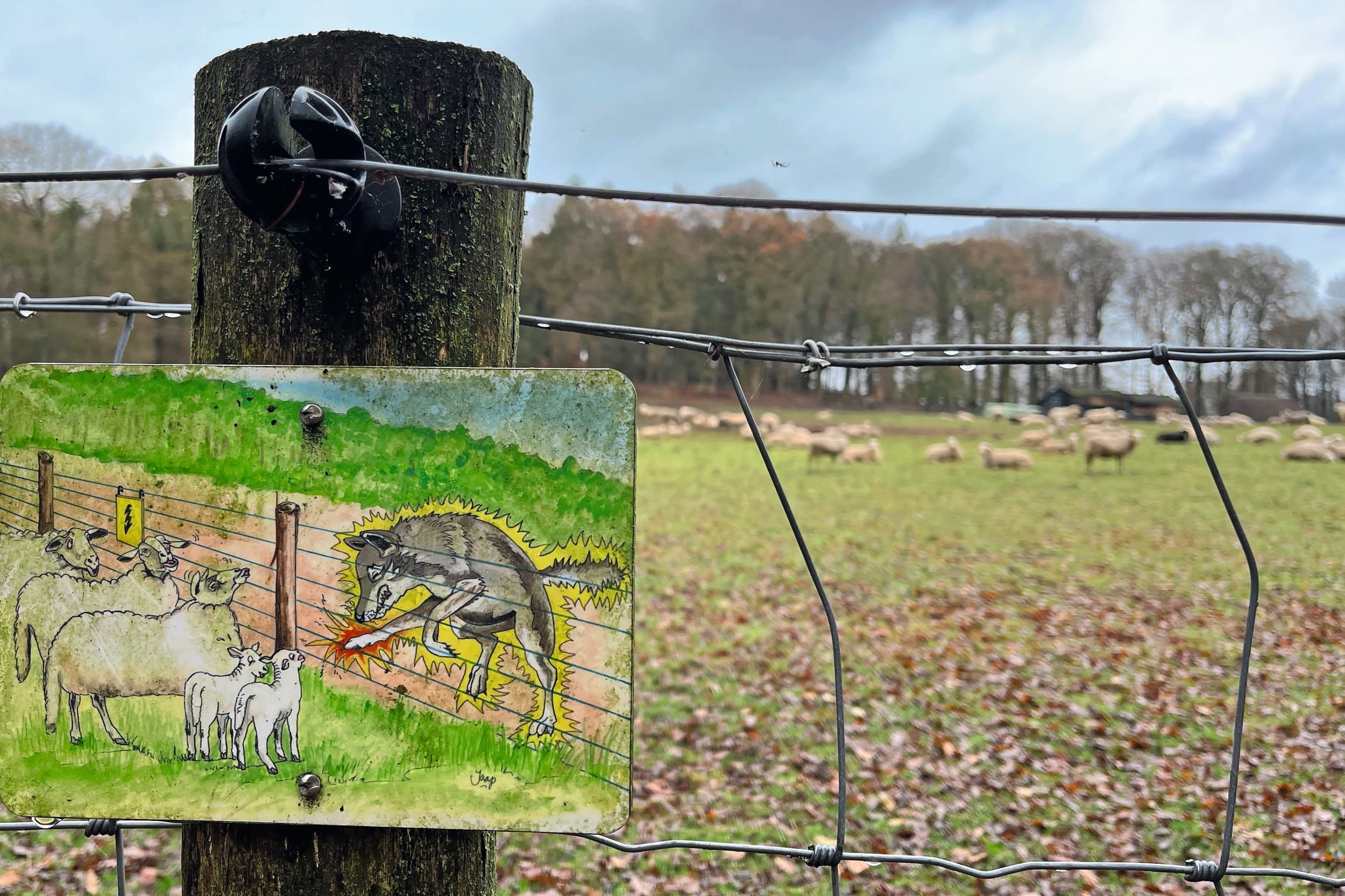 mobiel wolfwerend raster