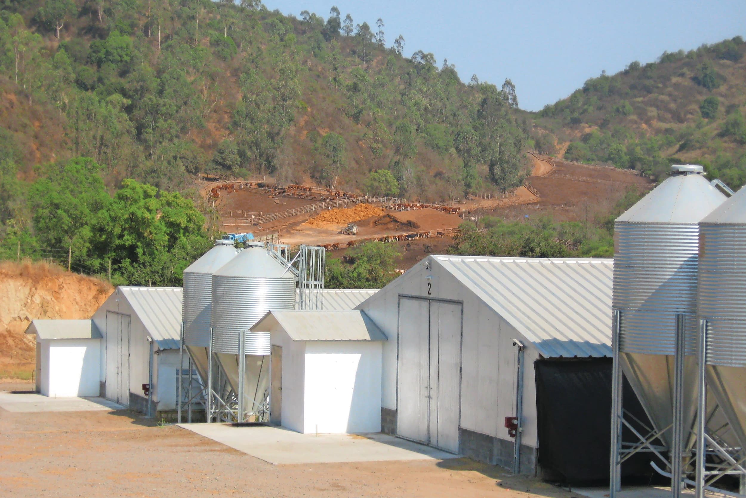 VNO-NCW steun Mercosur