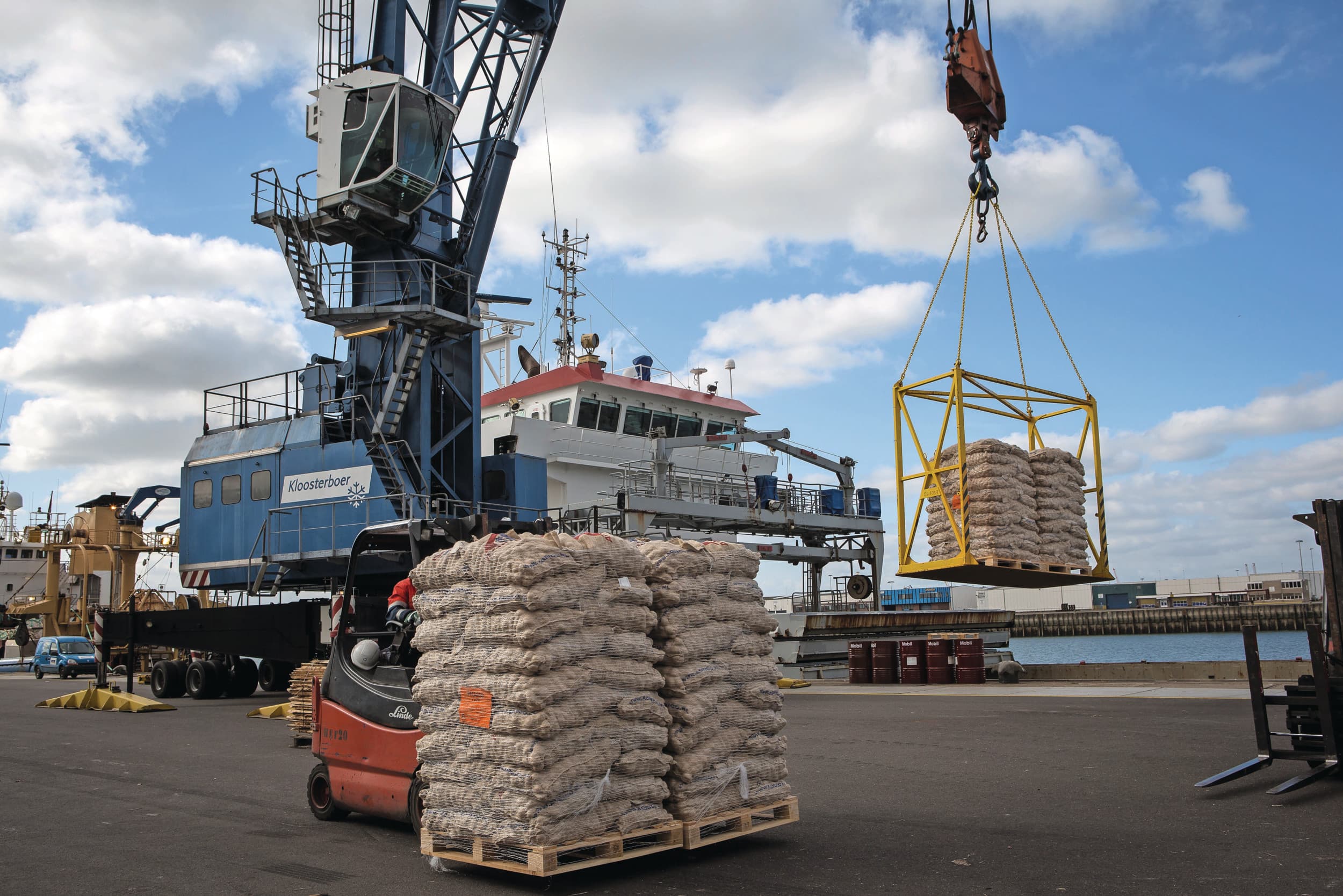 Vooral in de Europese Unie werd meer Nederlands pootgoed verkocht. Foto: Peter Roek