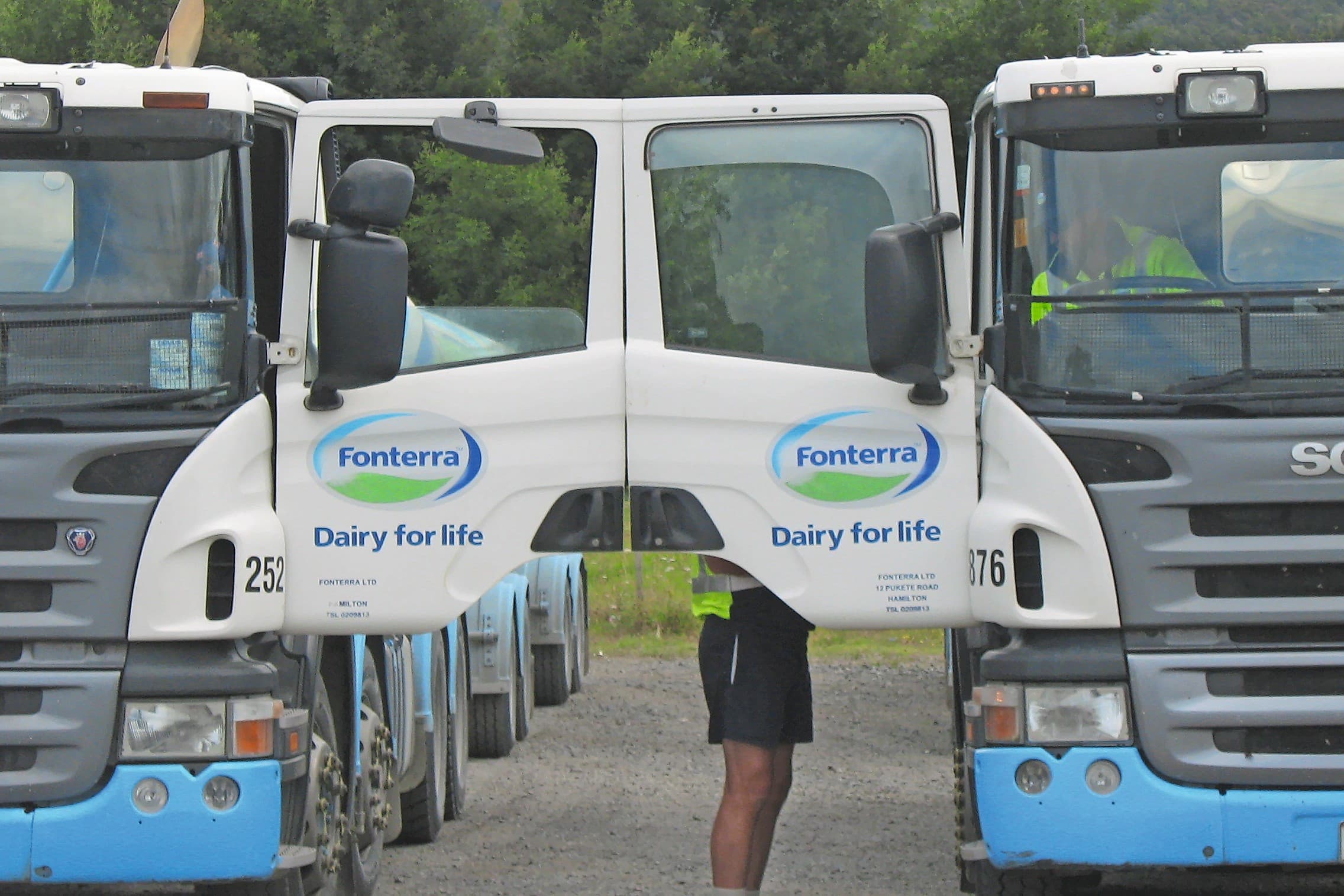 Fonterra blijft evenveel melk verwerken, maar stoot de consumententak af. Foto: Boerderij