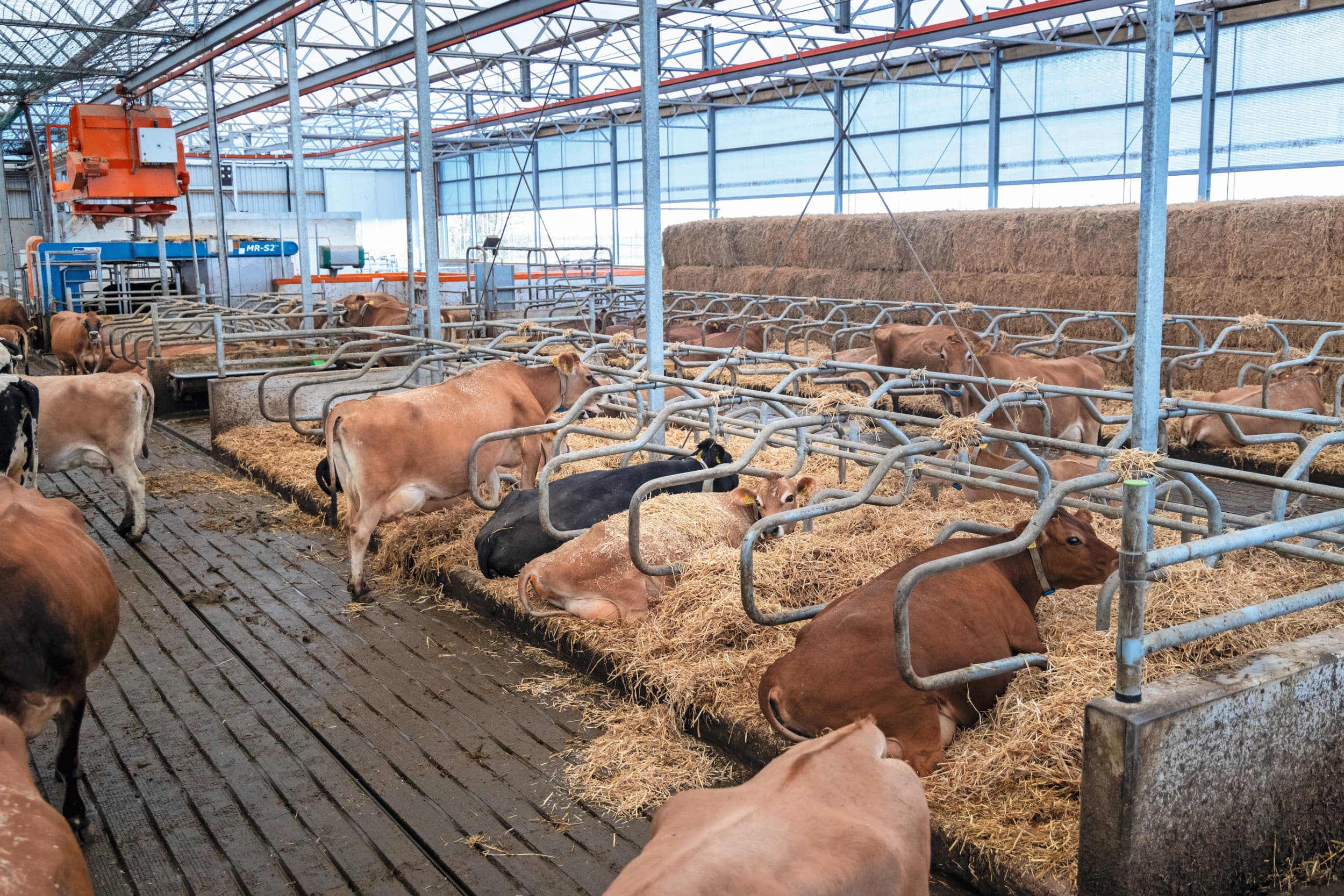 Een dichte vloer om emissies te verminderen. Foto: Koos Groenewold
