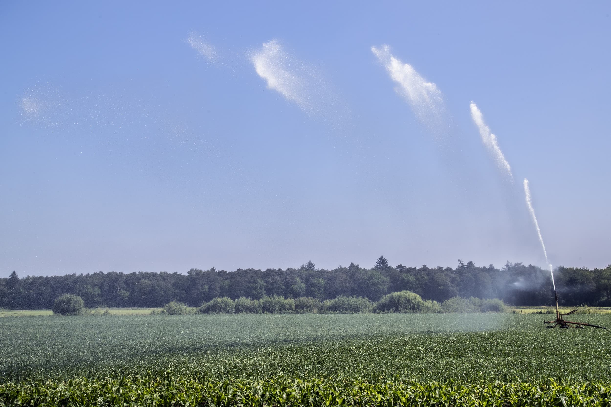 Juni bracht regen, maar volgens het KNMI stijgt het neerslagtekort snel weer – de regenhaspels komen eraan. Foto: Hans Banus