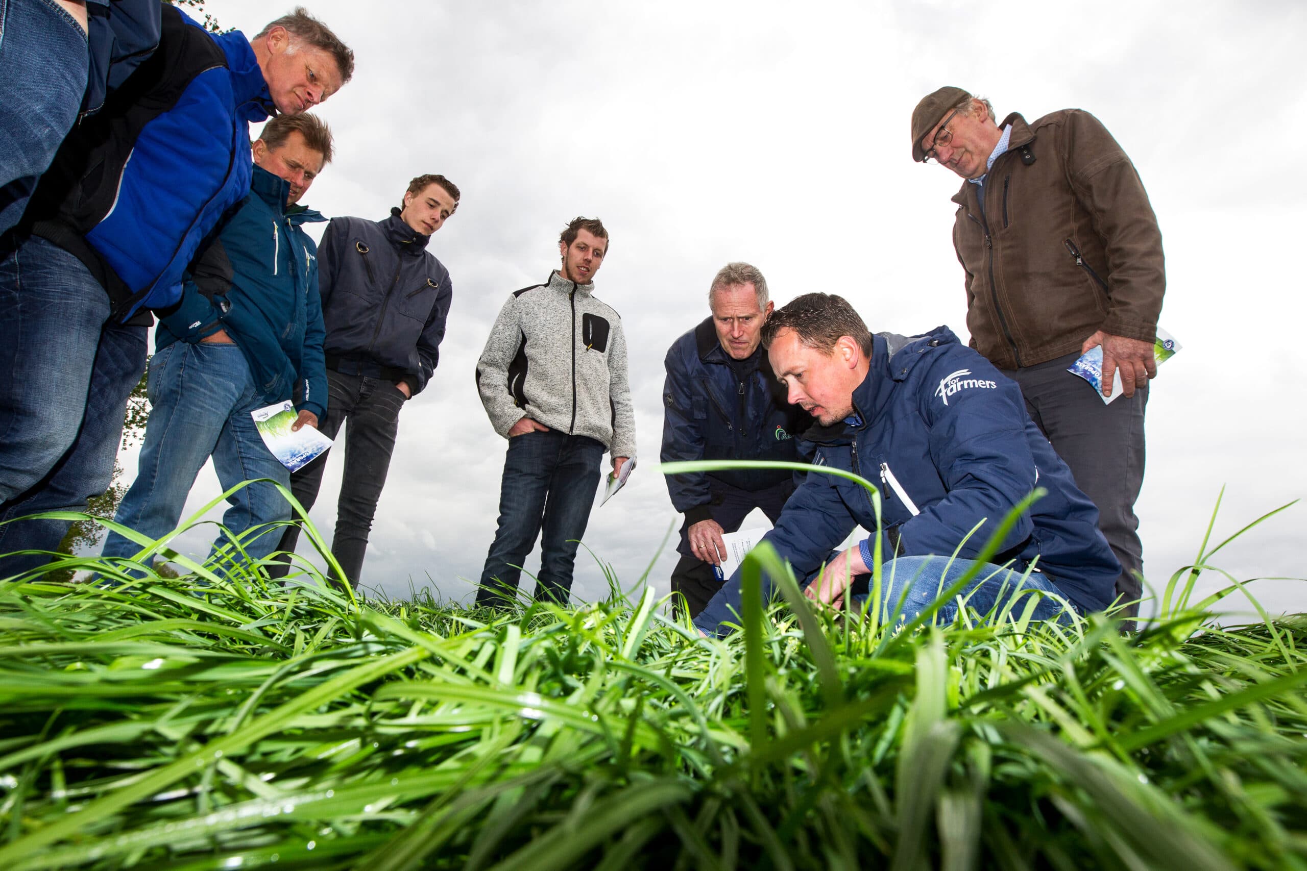 Subsidies voor duurzame landbouw in 2025