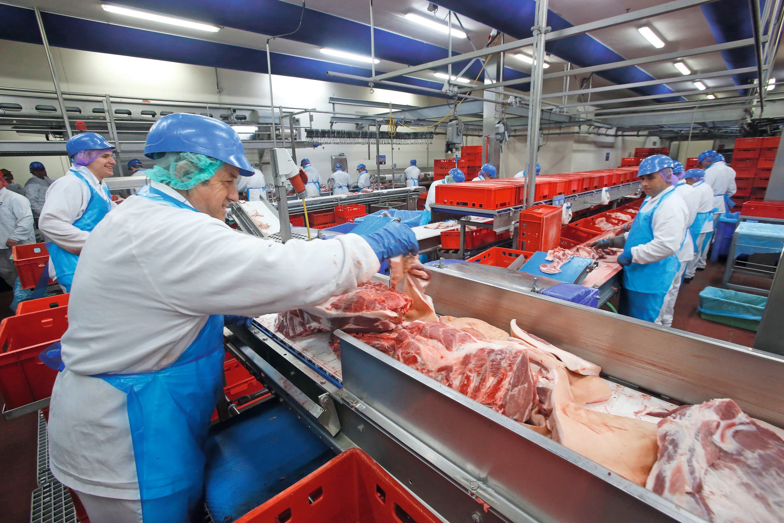 De export van varkensvlees naar China speelt een belangrijke rol bij de verwaarding van het totale varken. Foto: Bert Jansen