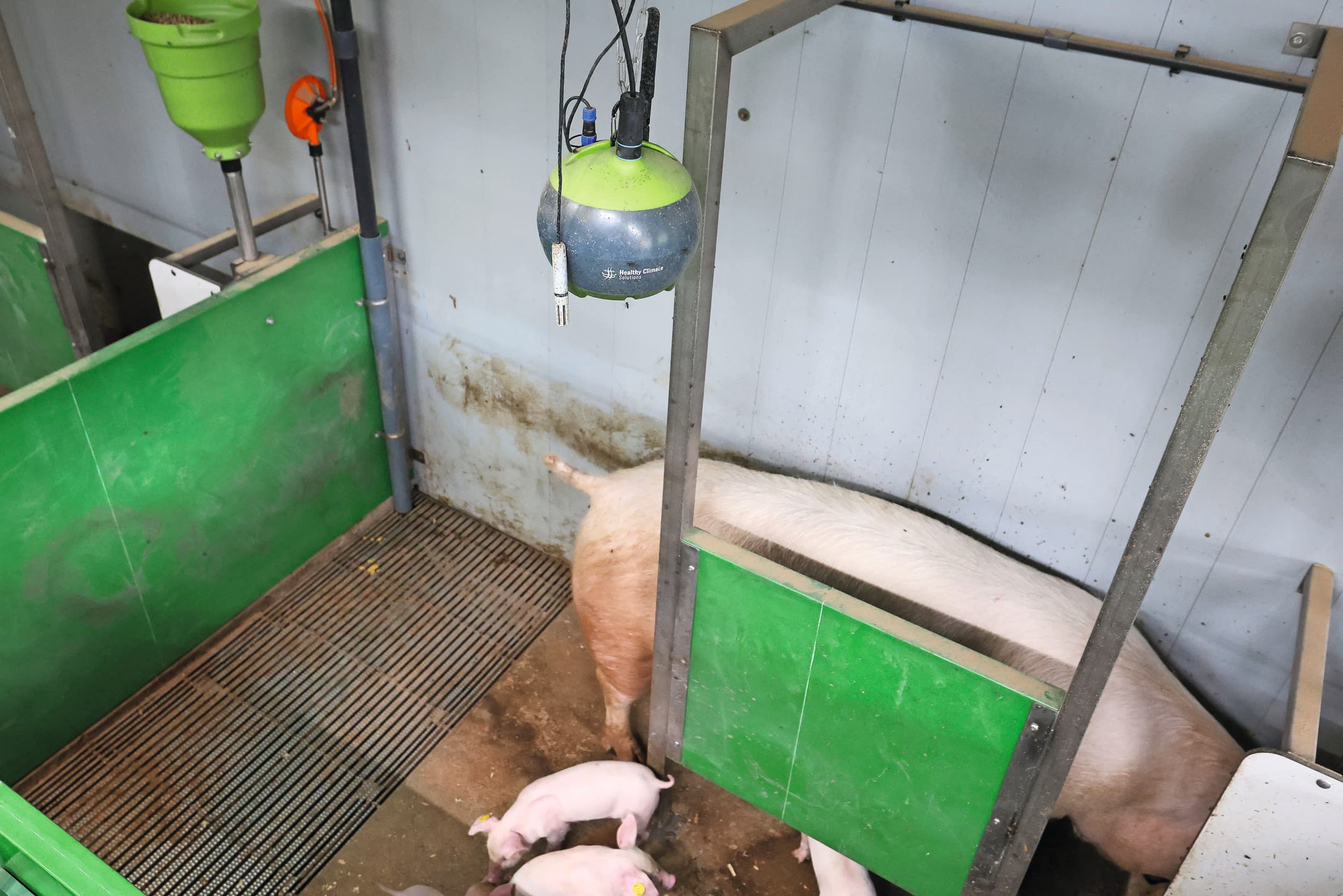 Een sensor in een kraamstal voor het continu monitoren van de emissies en het stalklimaat. Foto: Bert Jansen