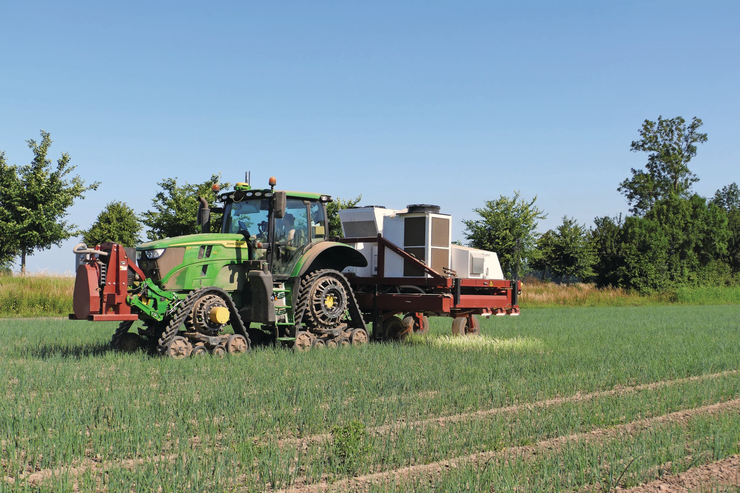 De LaserWeeder kan veel onkruid opruimen. In bladgroenten volstaan vaak twee behandelingen, in uien is vaker herhalen nodig. De onkruiddruk bepaalt de capaciteit. Foto: Martin Smits