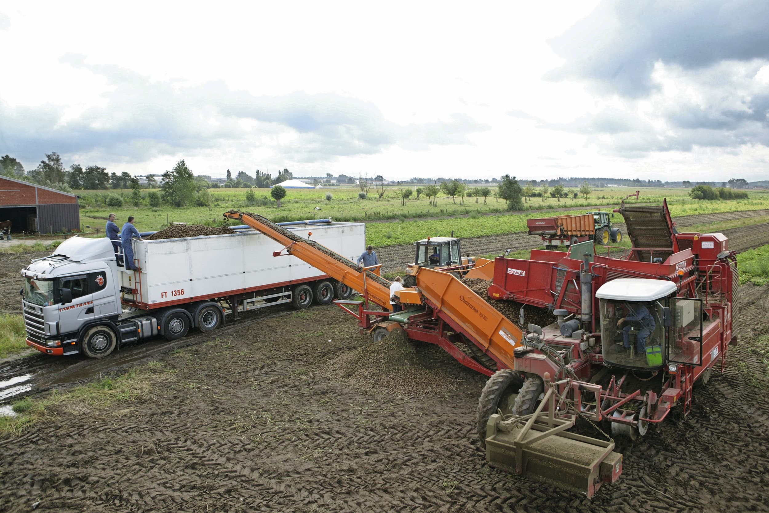 prijs vroege aardappelen keldert