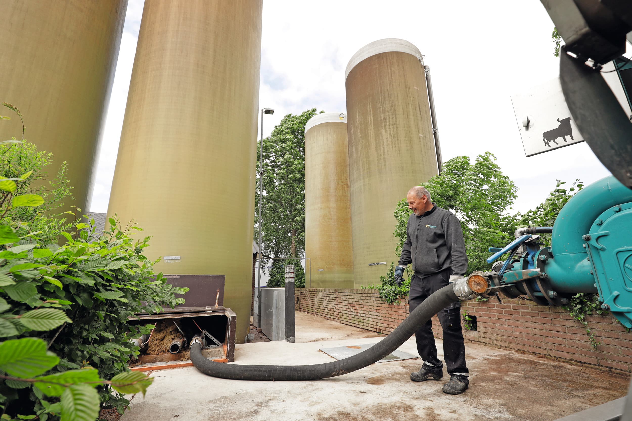 De varkenshouderij is belangrijk voor afzet van vochtrijke voedermiddelen. Foto: Michel Zoeter.