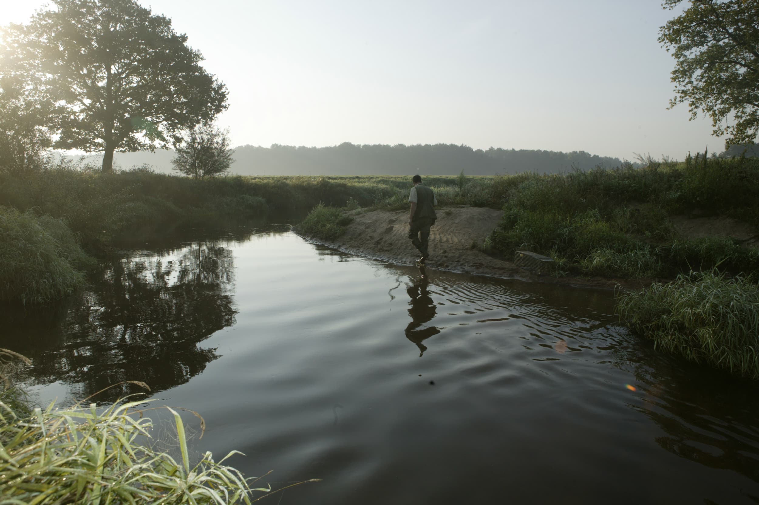 Boeren onderhouden wolfwerende hekken zonder vergoeding, terwijl muskusrattenvangers betaald krijgen. Vergaderboer vraagt zich af: waar zit het verschil? Foto: Mark Pasveer
