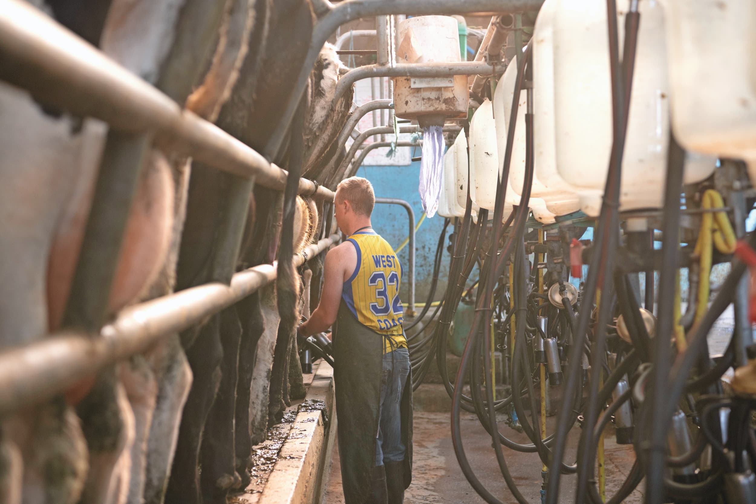 Ierse melkveehouders bereikten in juni een maandrecord van 1,081 miljard liter. Foto: Mark Pasveer