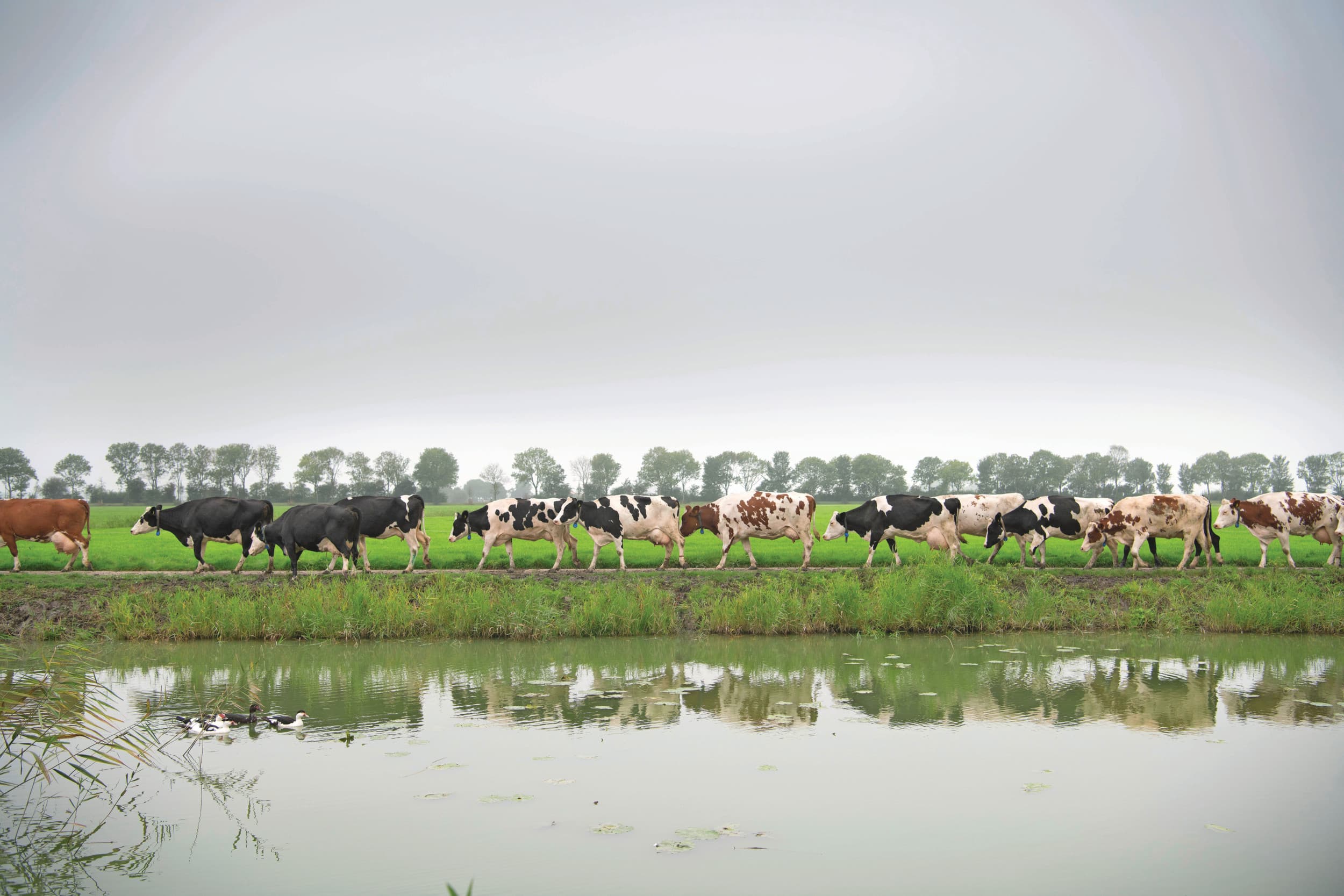 ACM meerkosten biologische boer