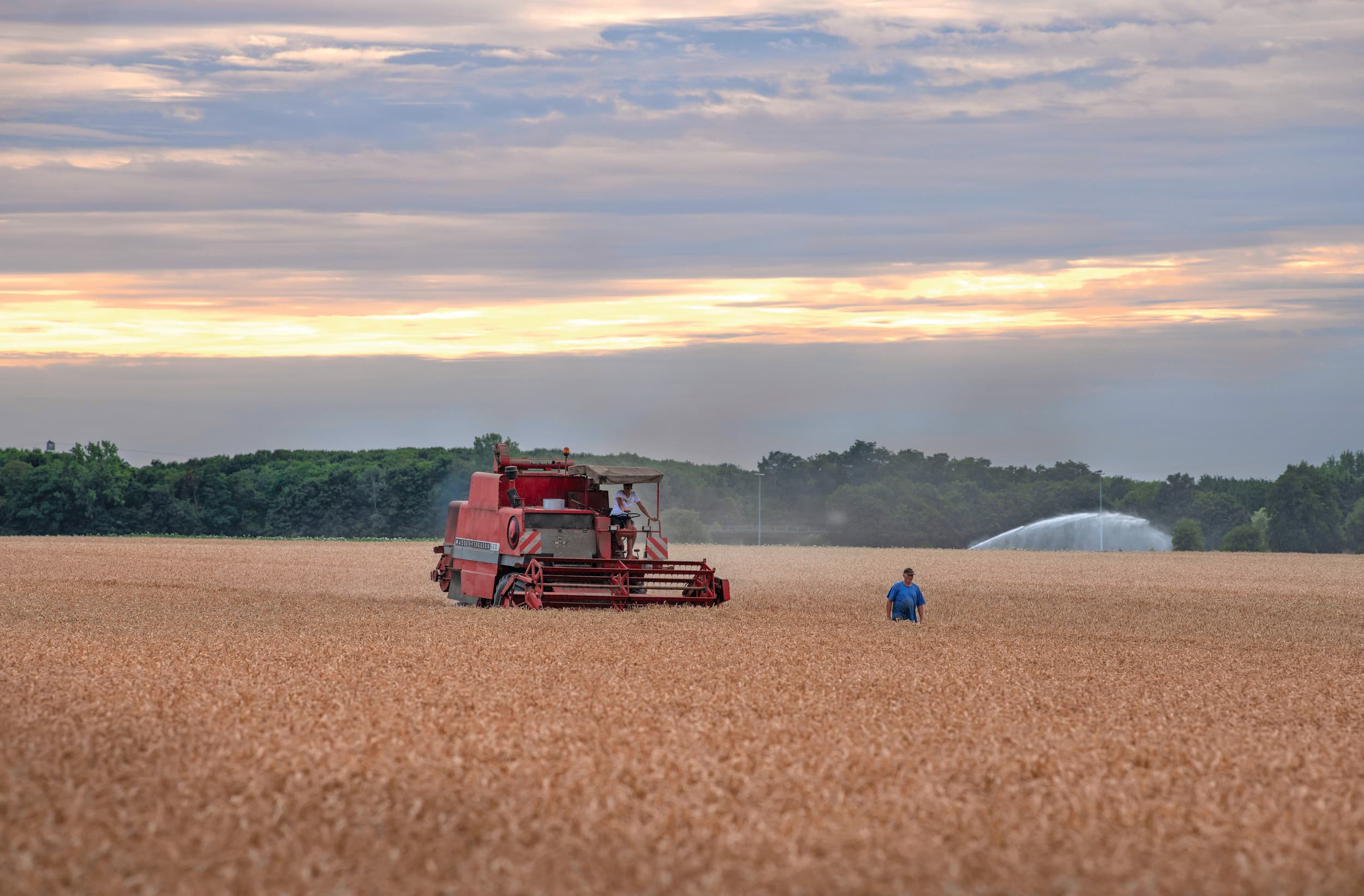 Nu winkeliers en de horeca hun consolidatie voortzetten, moeten de landbouwers ook één front vormen, vinden de agrarische coöperaties Terrena en Agrial. Foto: Mark Pasveer