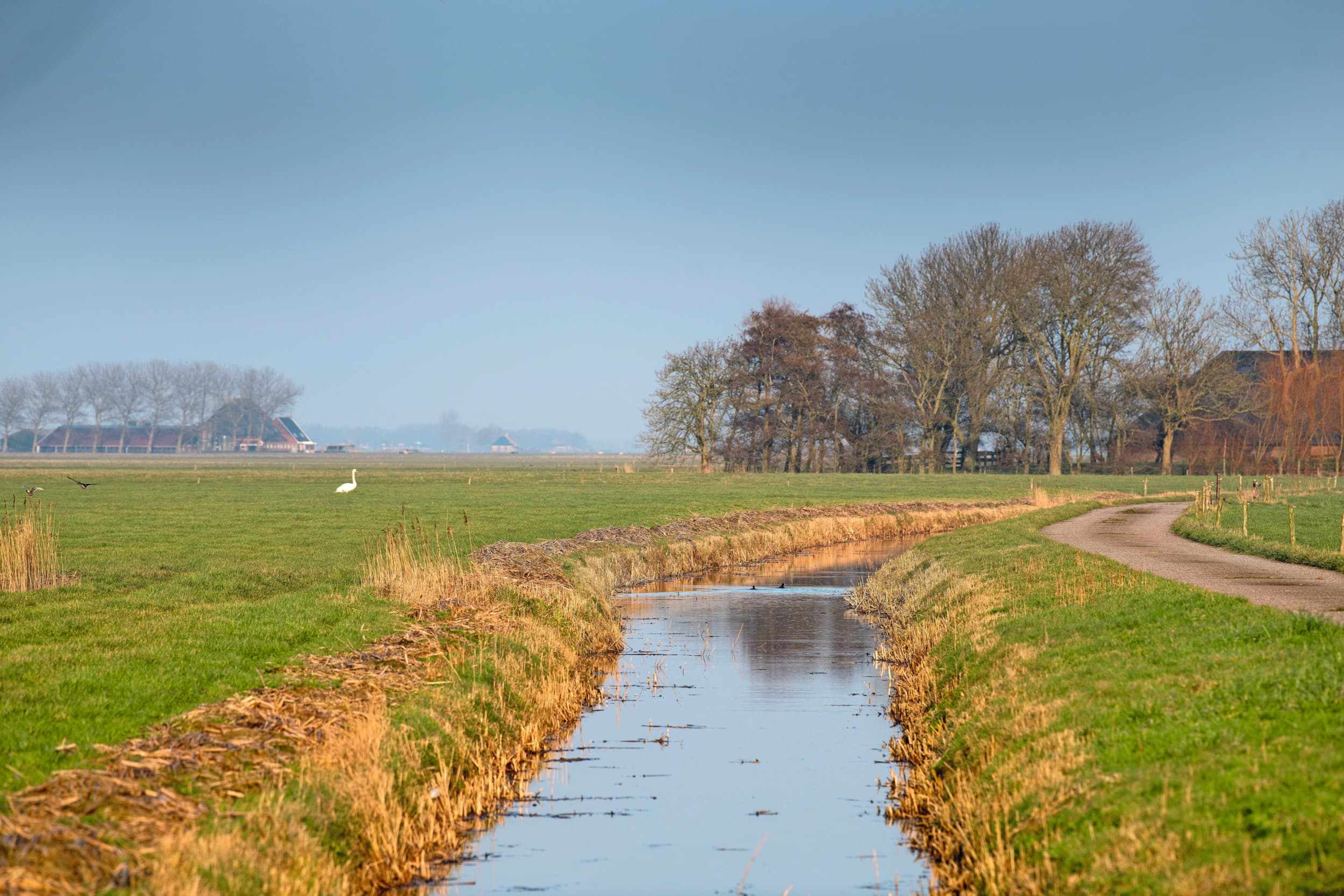 Het inzichtelijk krijgen van gebiedsdata vraagt om samenwerking en ontwikkeling van tools. Foto: Mark Pasveer