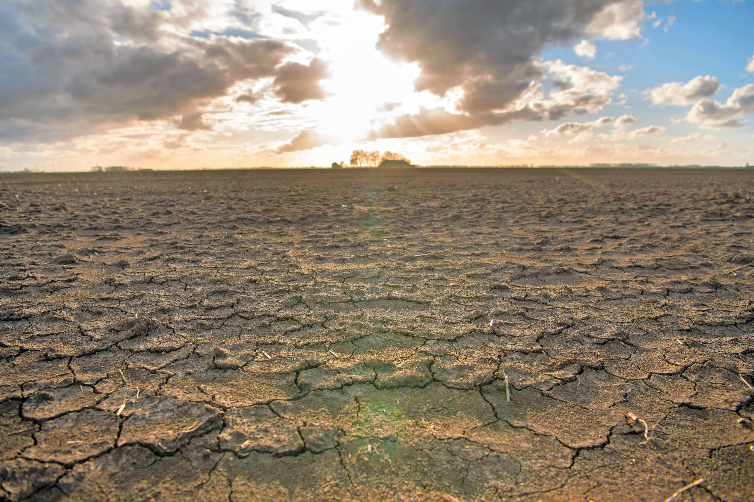 Het Planbureau voor de Leefomgeving schetst twee scenario's voor 2050 om landbouw en natuur met elkaar in balans te brengen. In beide gevallen gaat dat sterk ten koste van landbouwgrond. Foto: Mark Pasveer