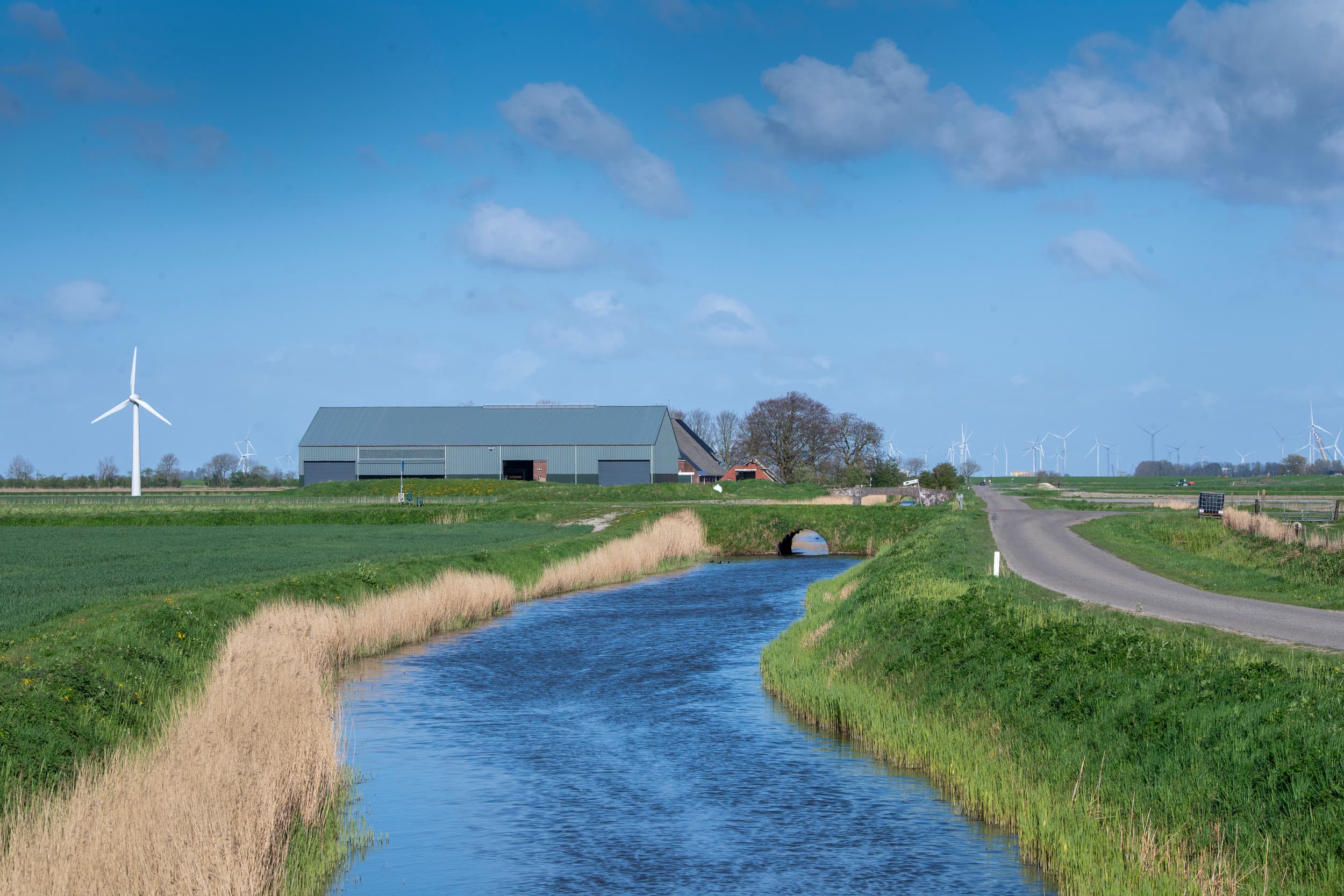 De waterkwaliteit verbetert, maar voldoet nog lang niet overal aan de eisen van de Kaderrichtlijn Water. Foto: Mark Pasveer